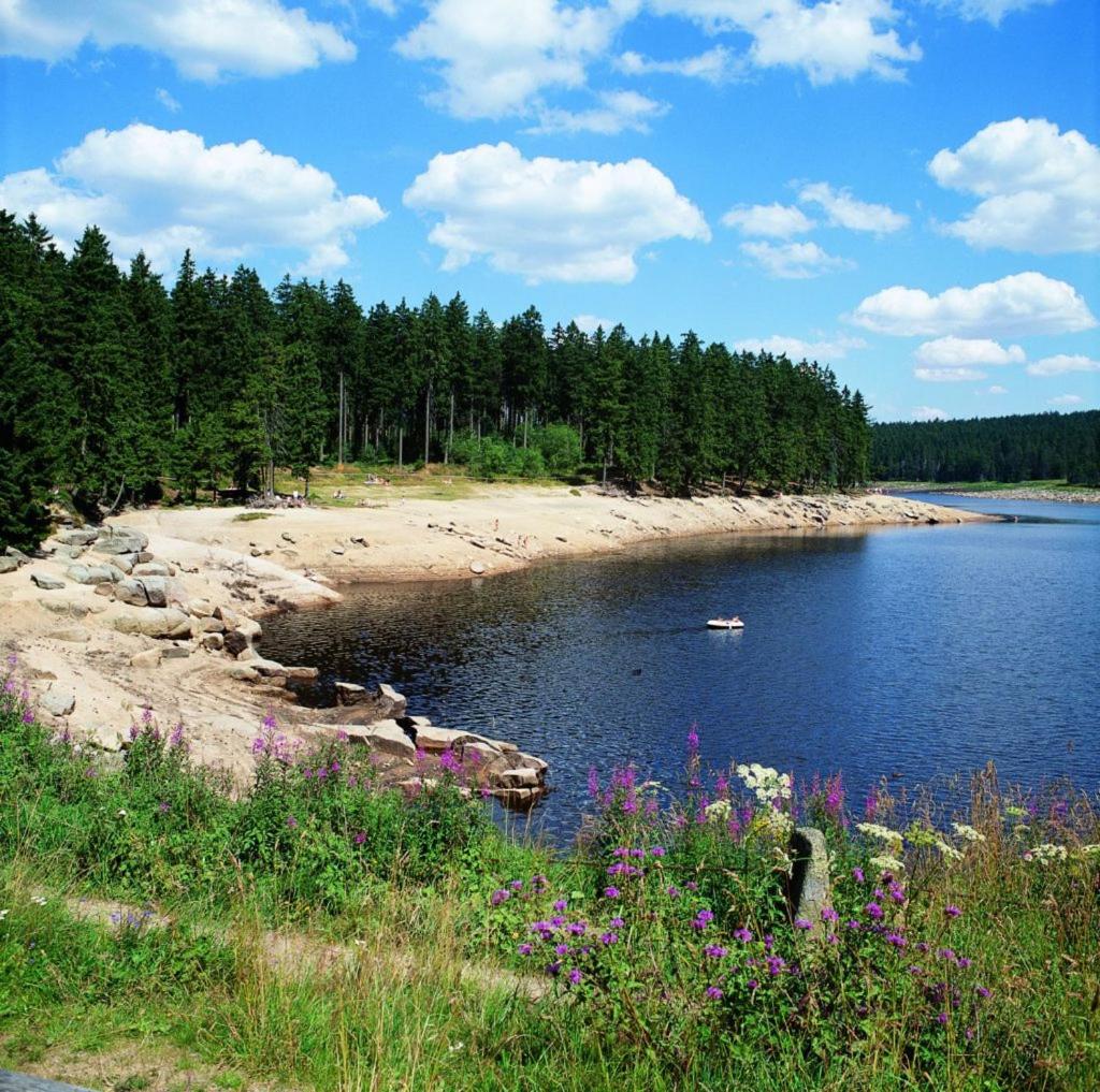 Pfotchenurlaub im Harz- Schone Ferienwohnung fur 2-4 Personen und Hund - Property Image 10