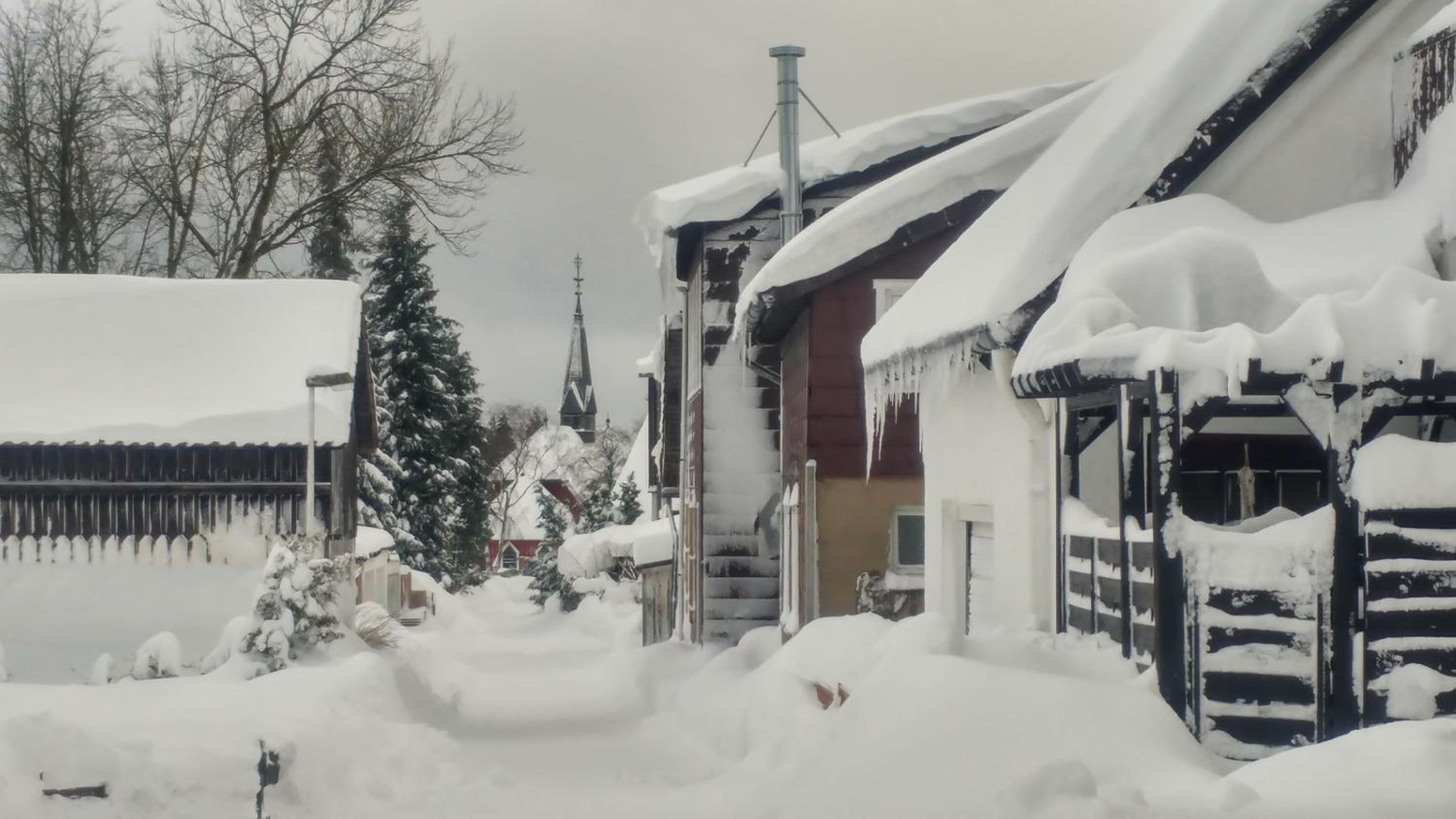 Pfotchenurlaub im Harz- Schone Ferienwohnung fur 2-4 Personen und Hund - Property Image 3