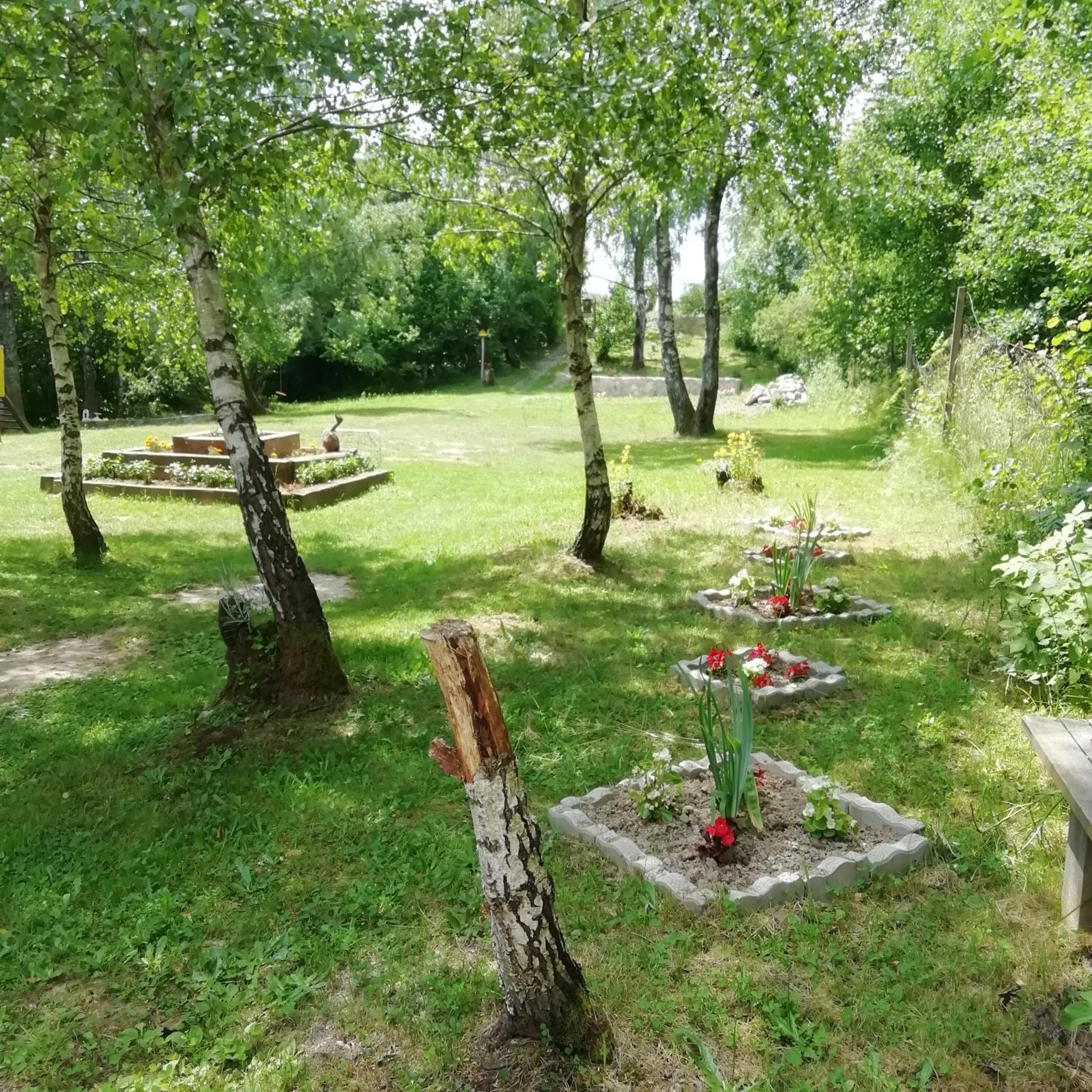 Photo 12