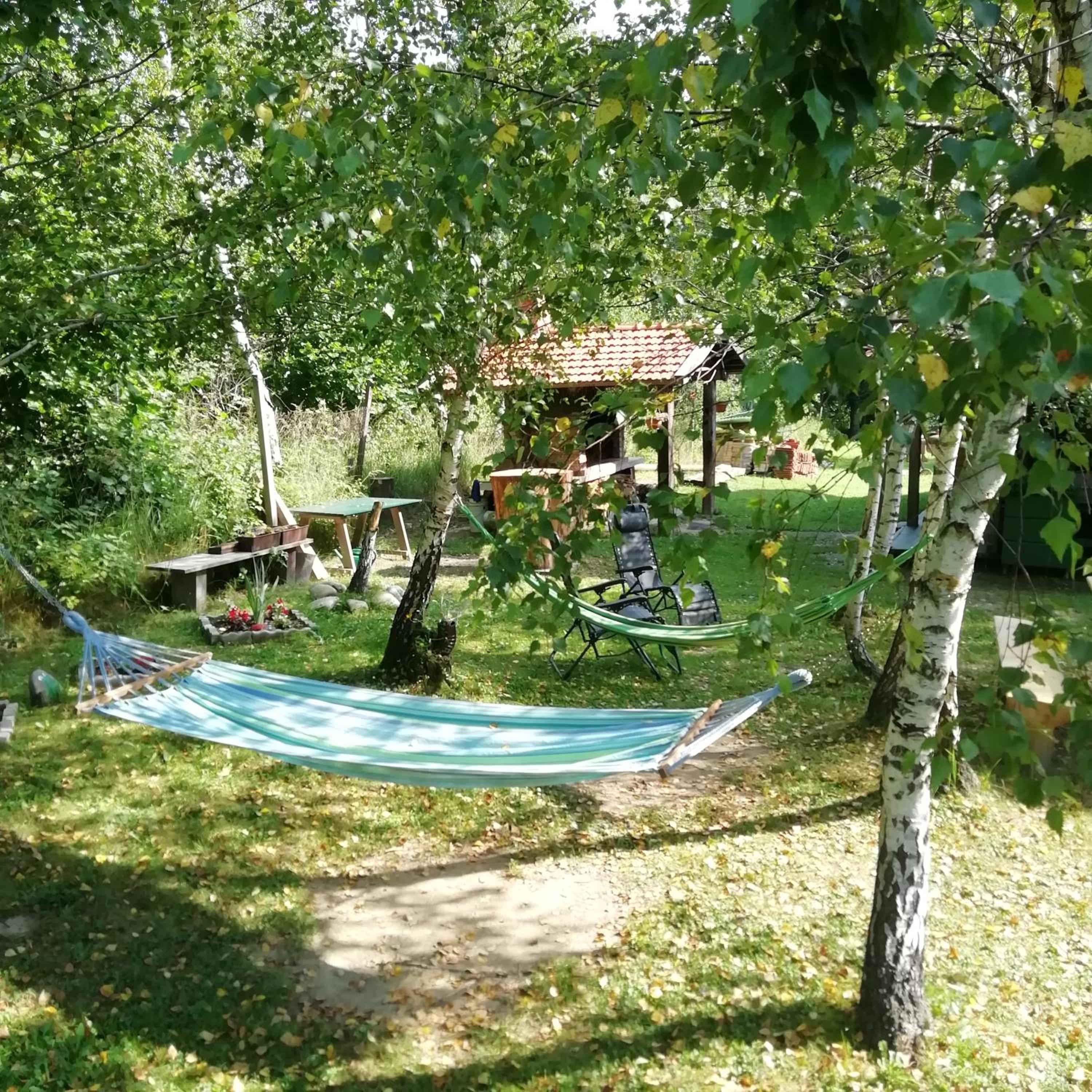 Photo 41