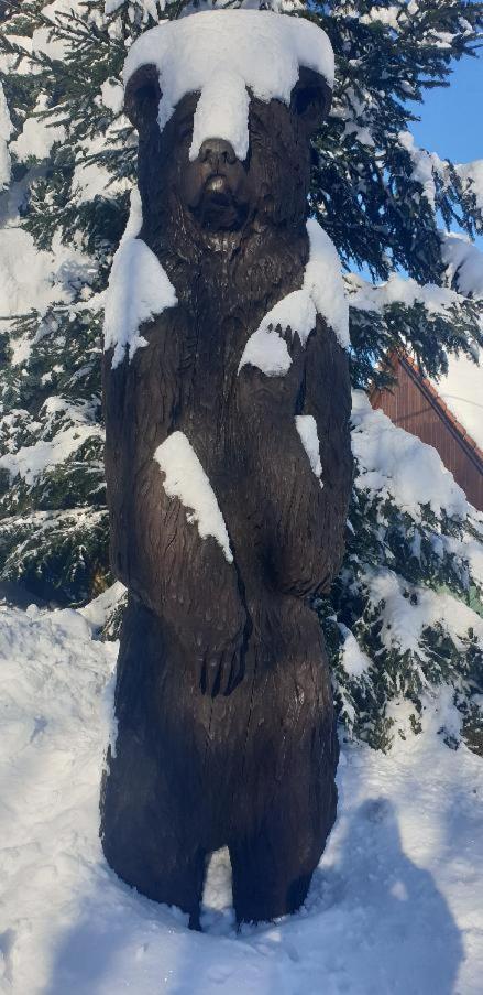 PENZION HARRY na sjezdovce KRKONOŠE