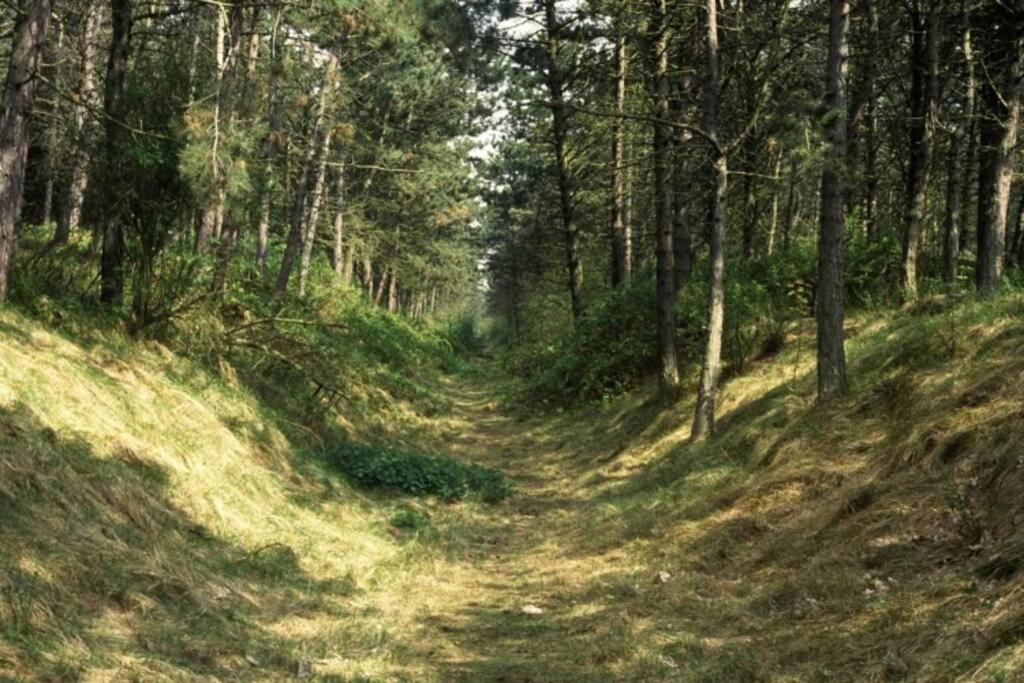 Bij de duinen 300 meter van de zee gratis wifi huisdieren toegestaan thuiswerkplek
