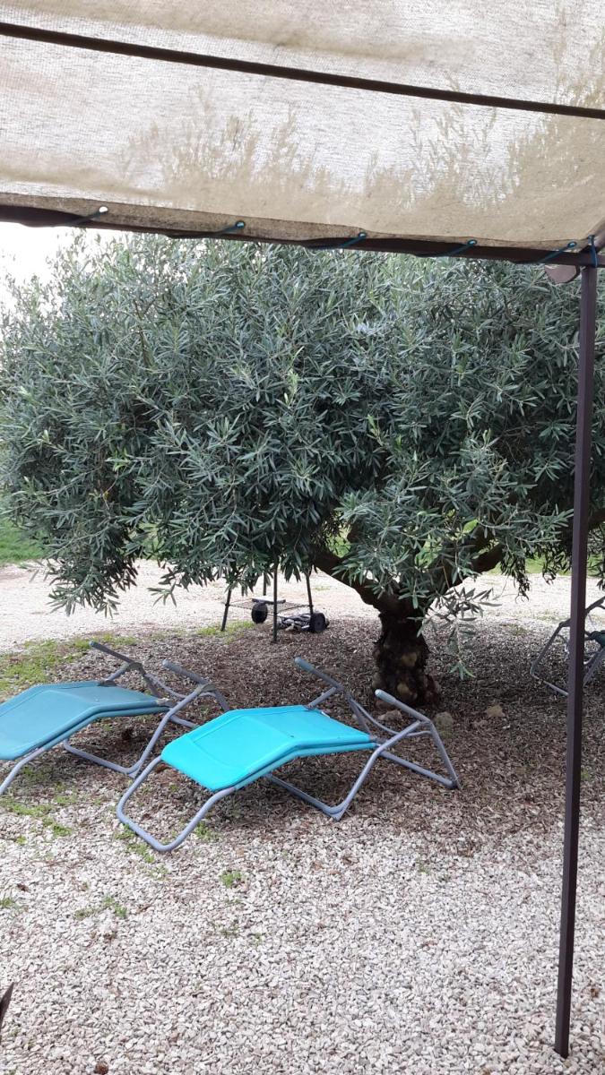 Chambres d'hôtes Le Vignoble view 3