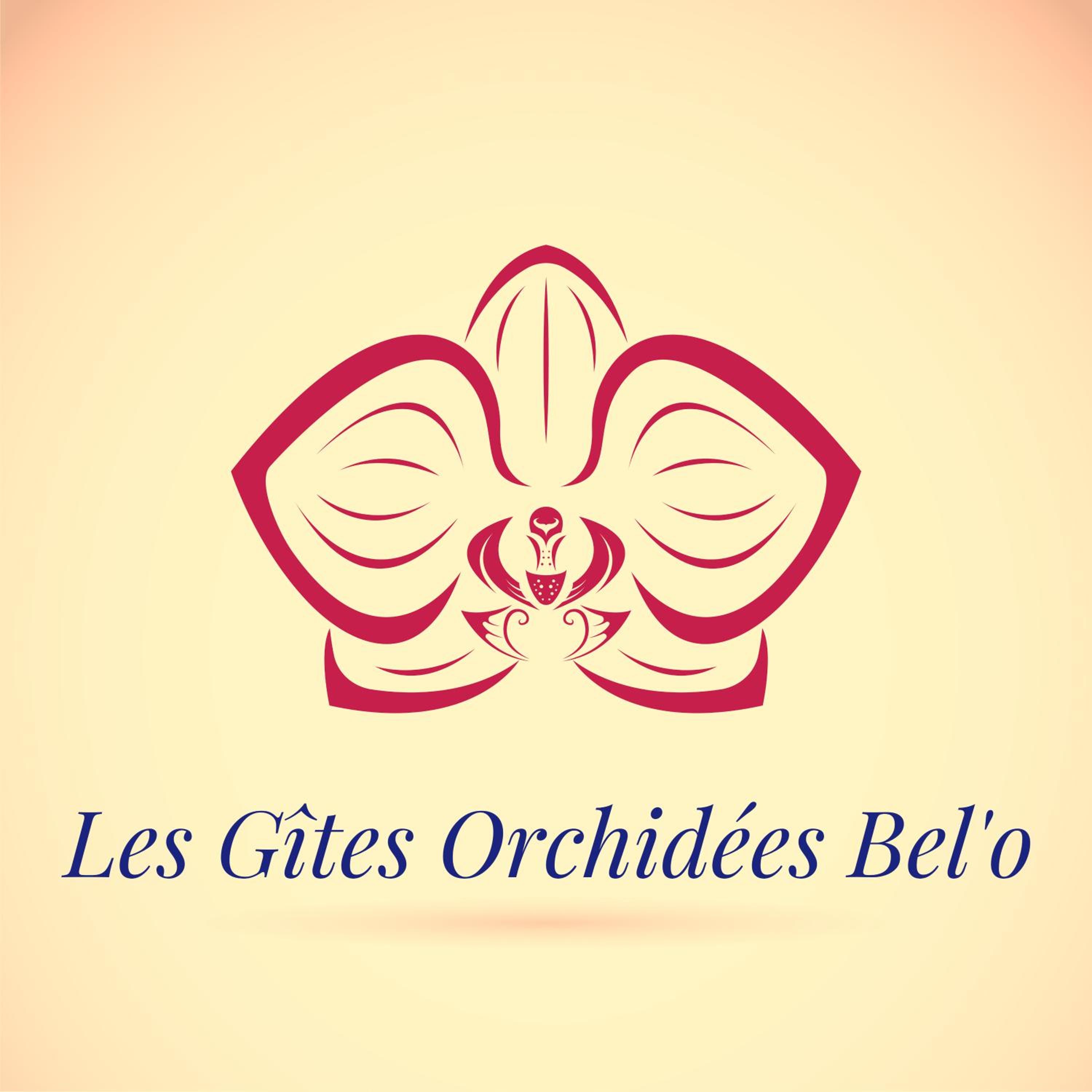 Les Gites Orchidees Bel'o - Photo 17