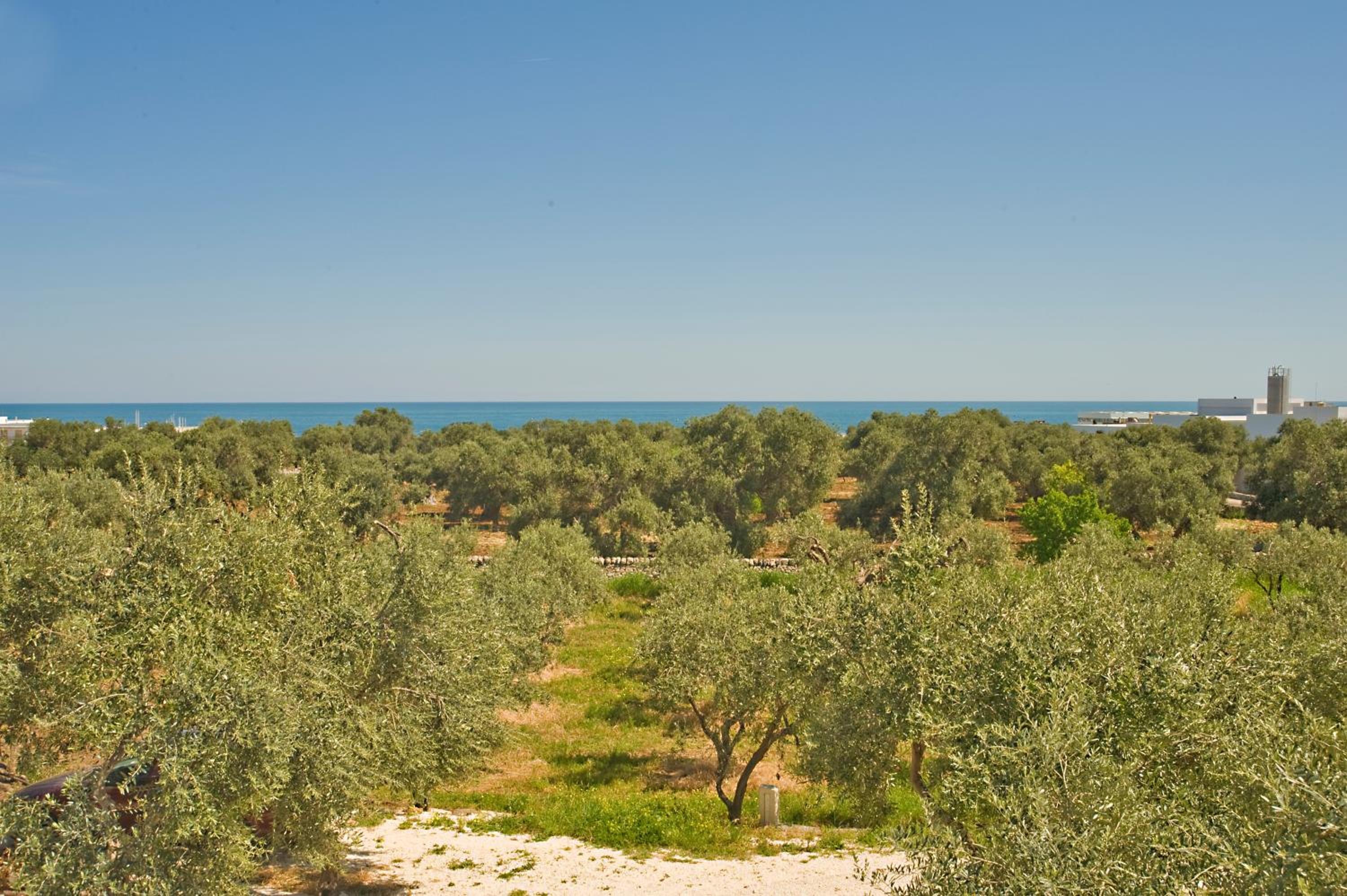 Masseria Spina Resort