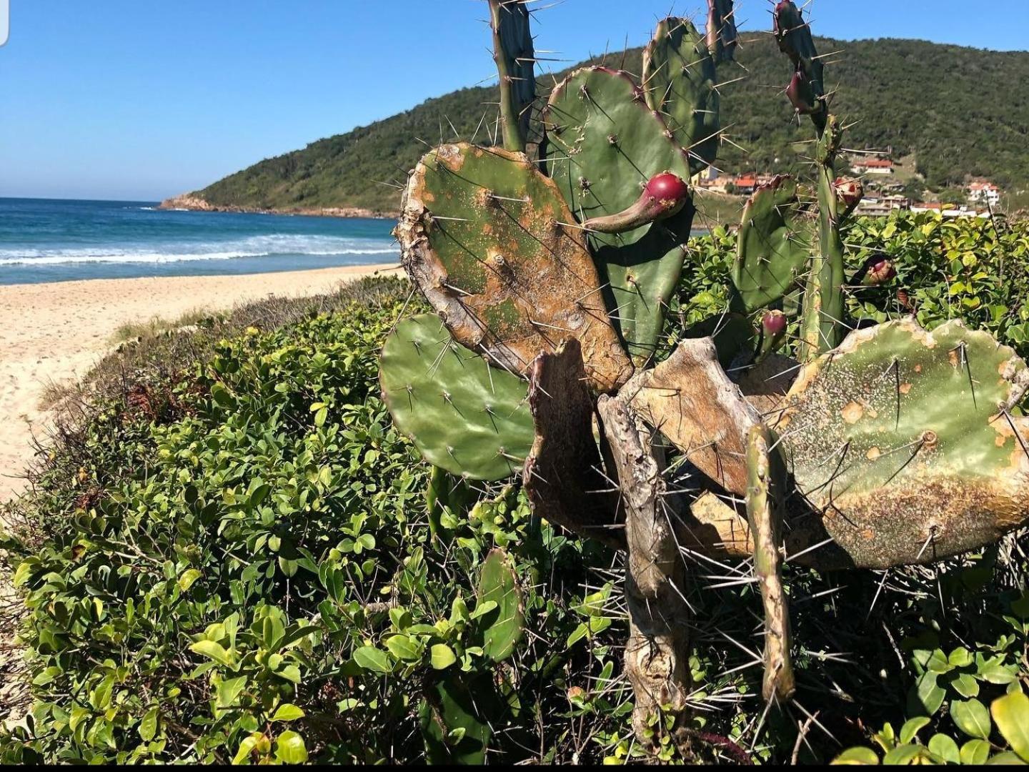 Cantinho do paraíso