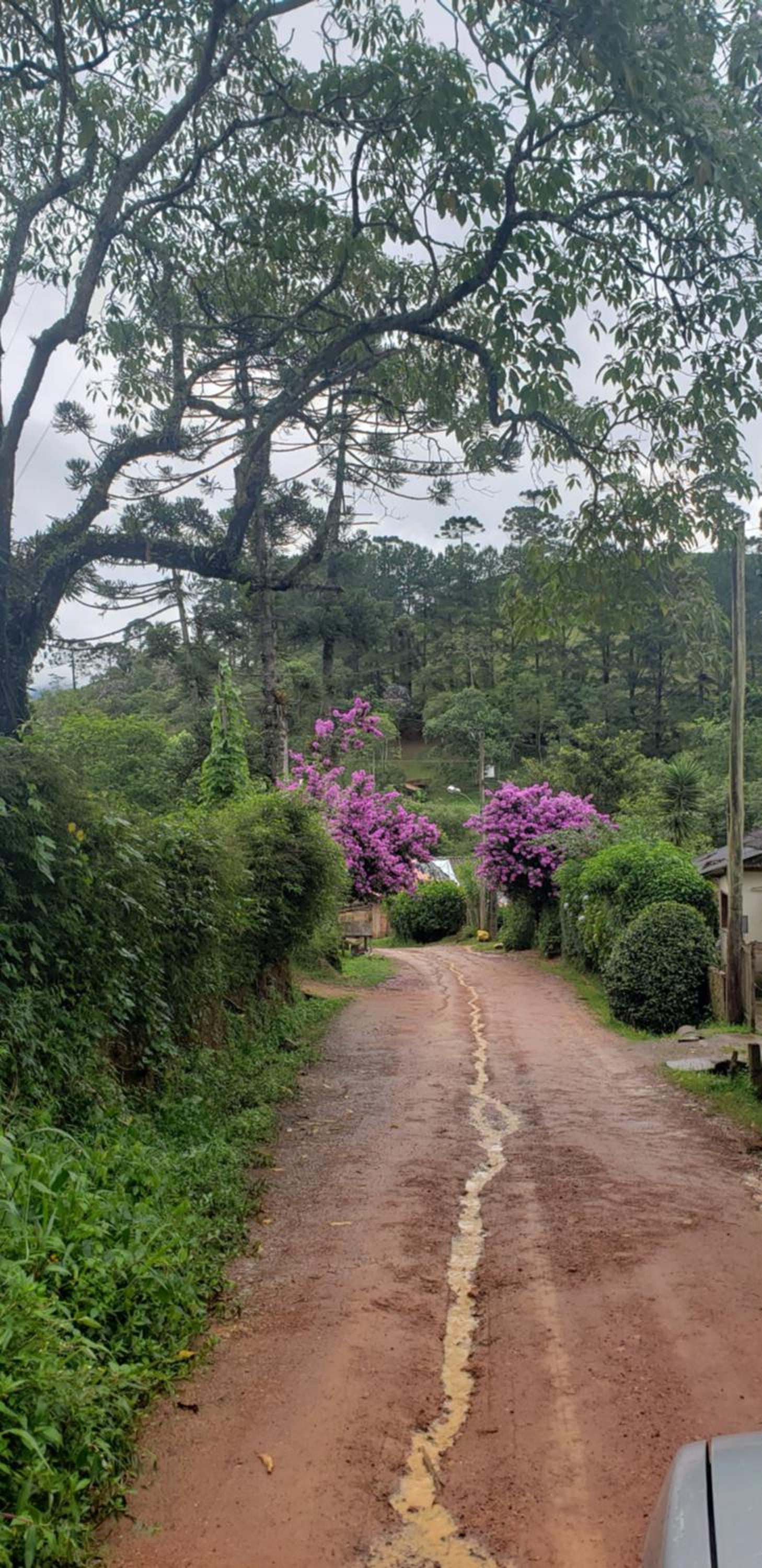 Cantinho de Mauá