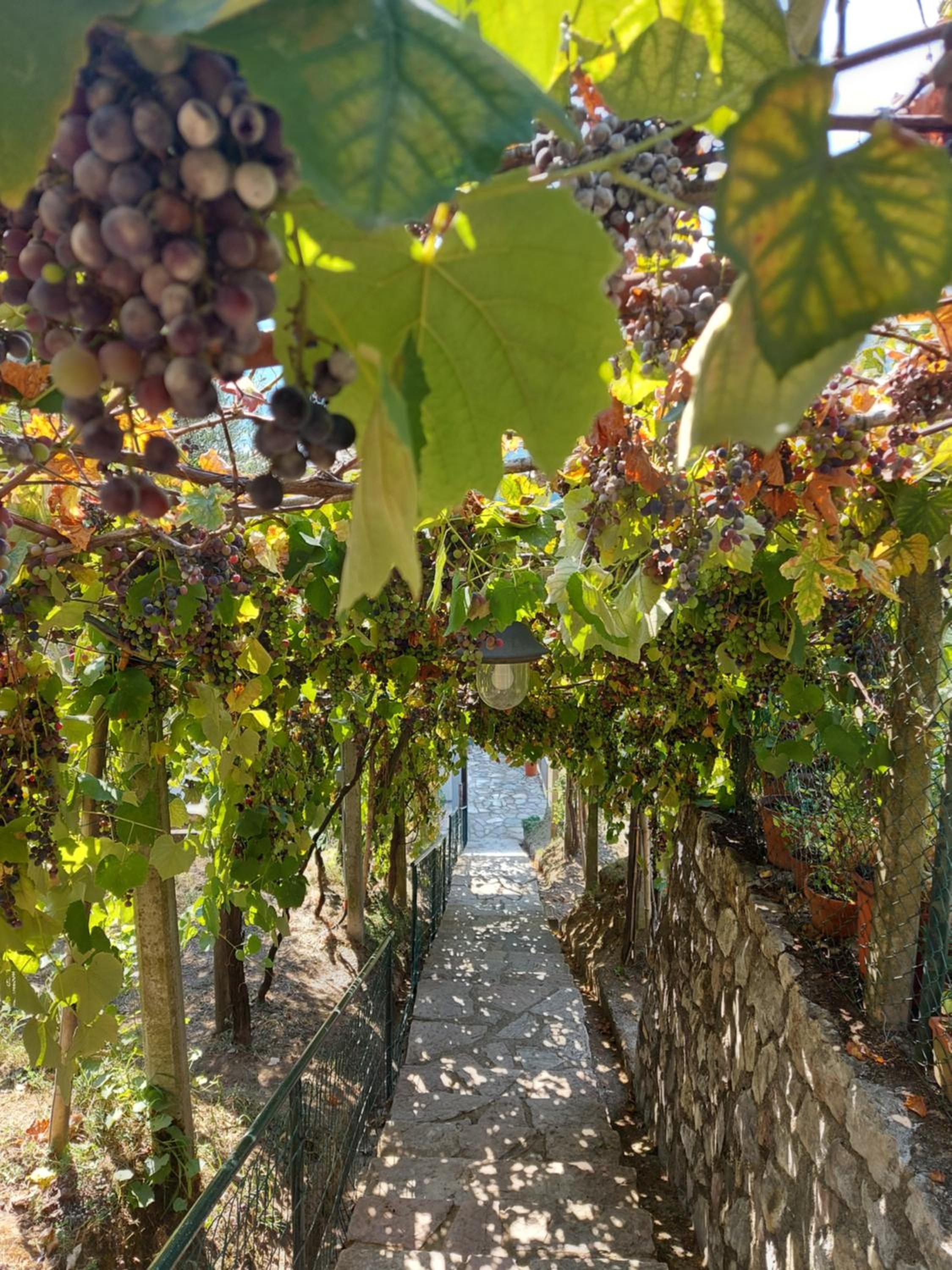 other