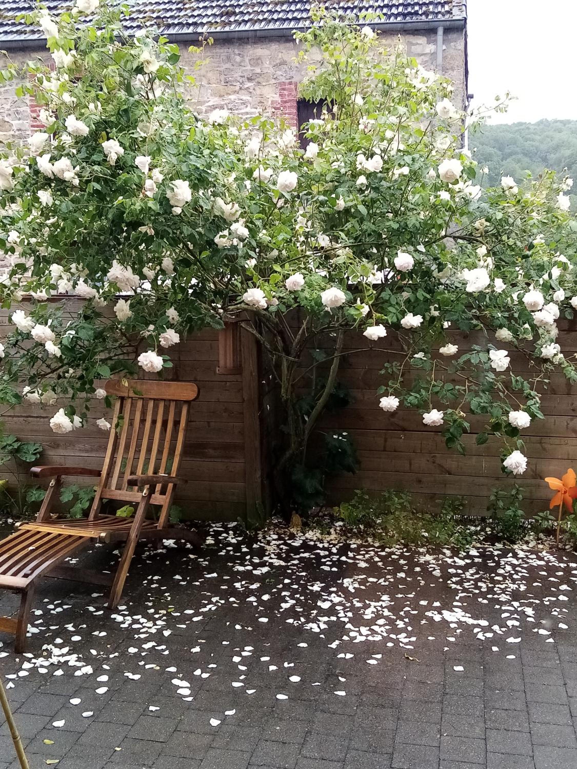 Le petit gîte de Maurenne