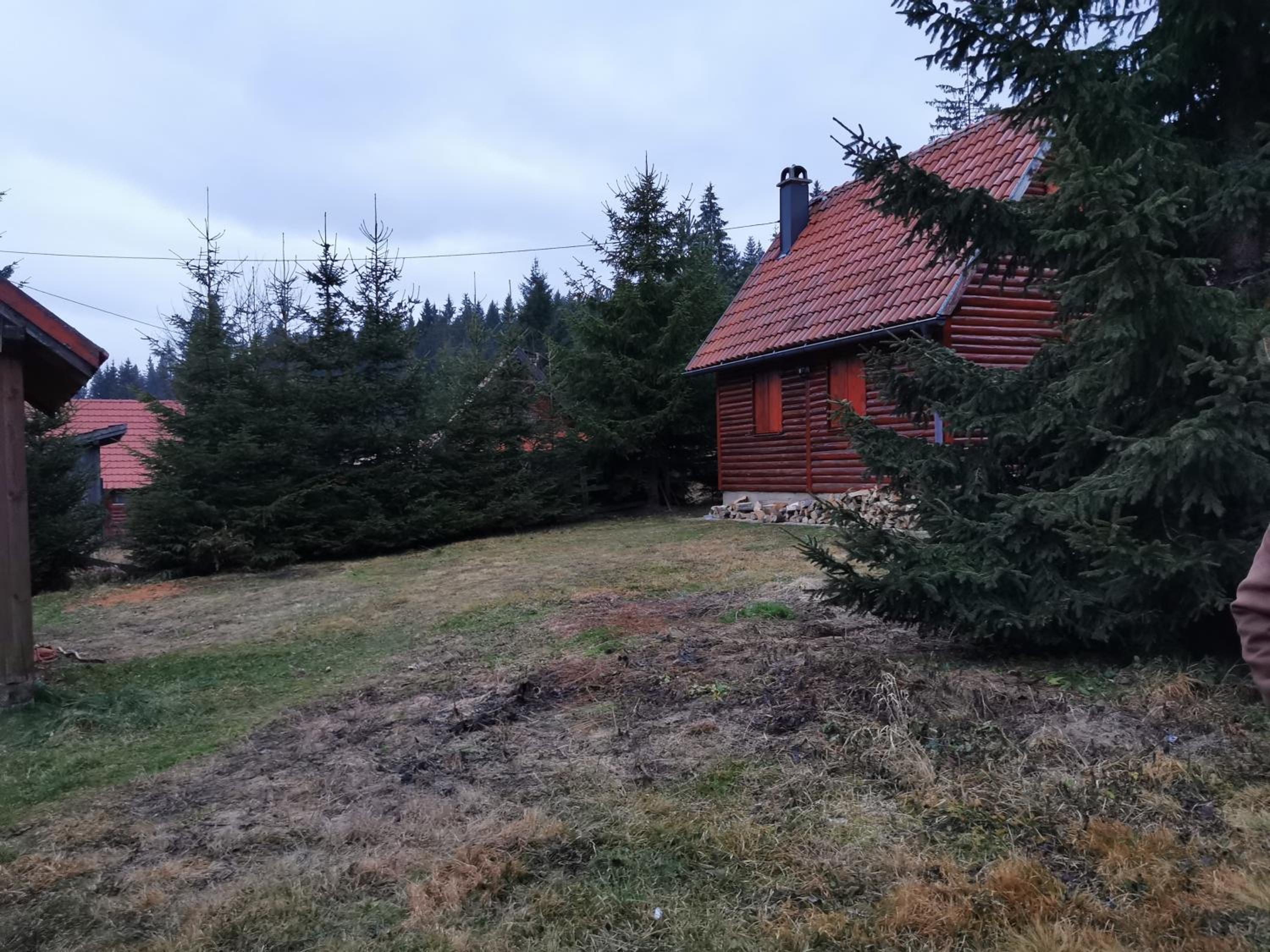 Photo 41