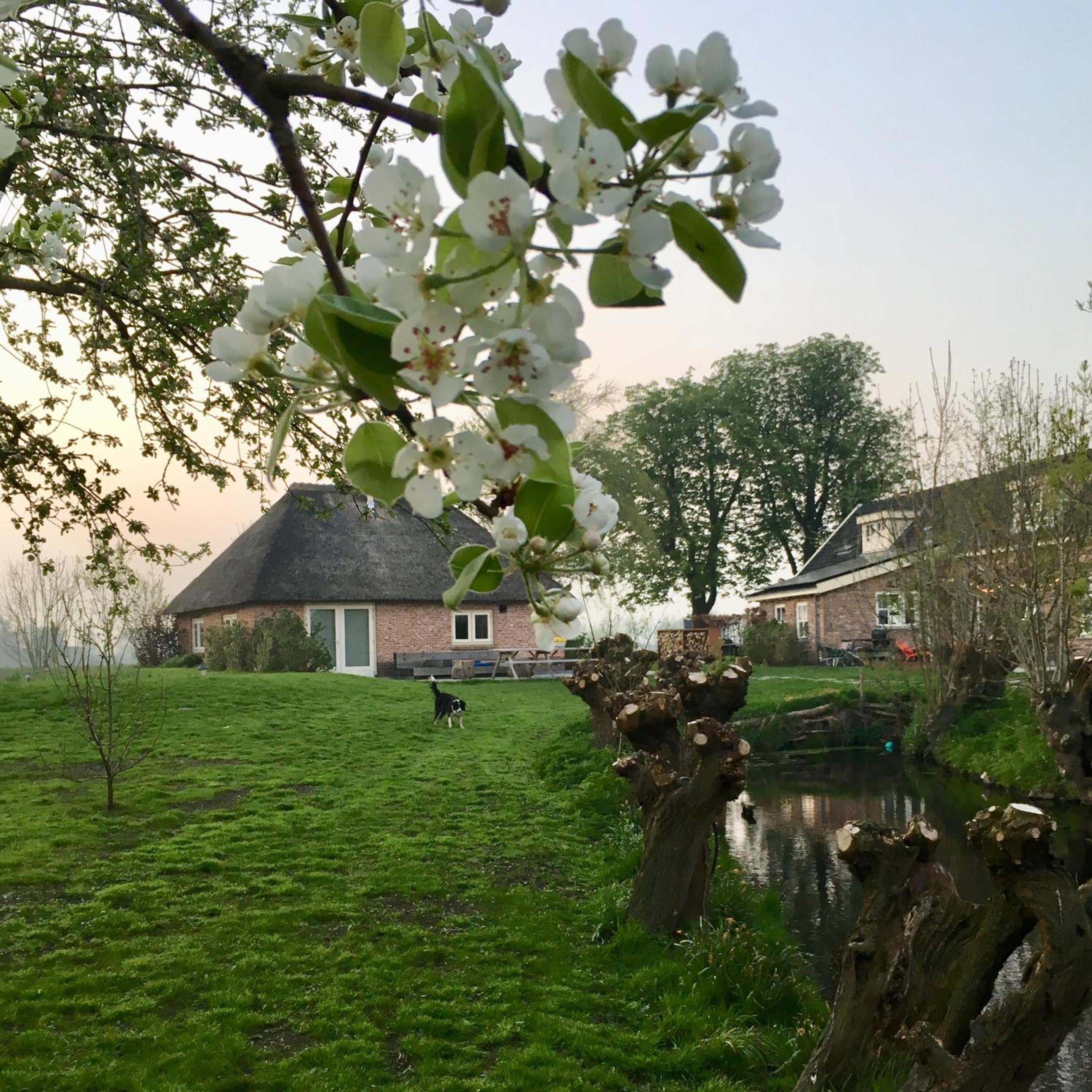 Photo 19
