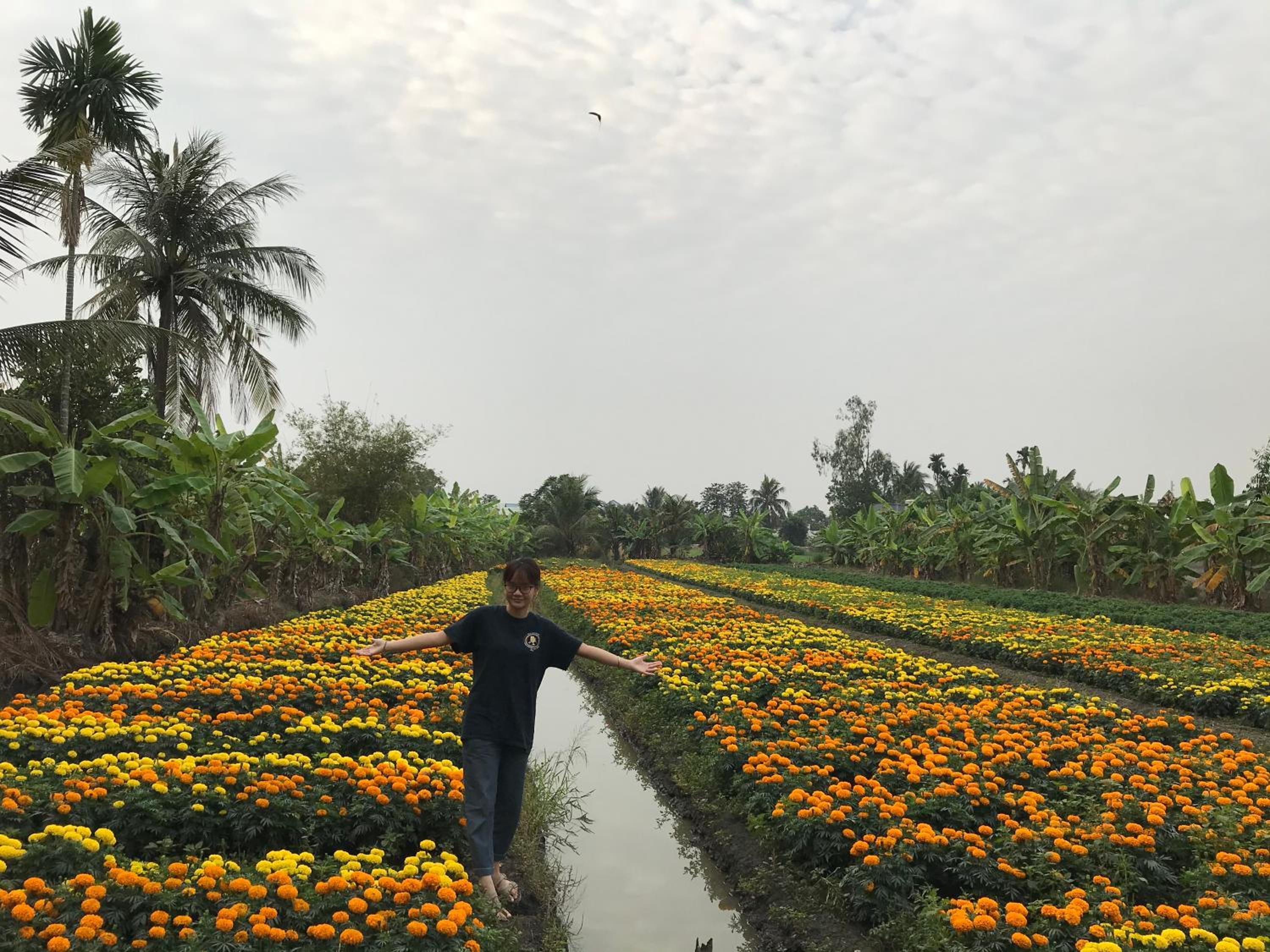 Saigon Garden Homestay