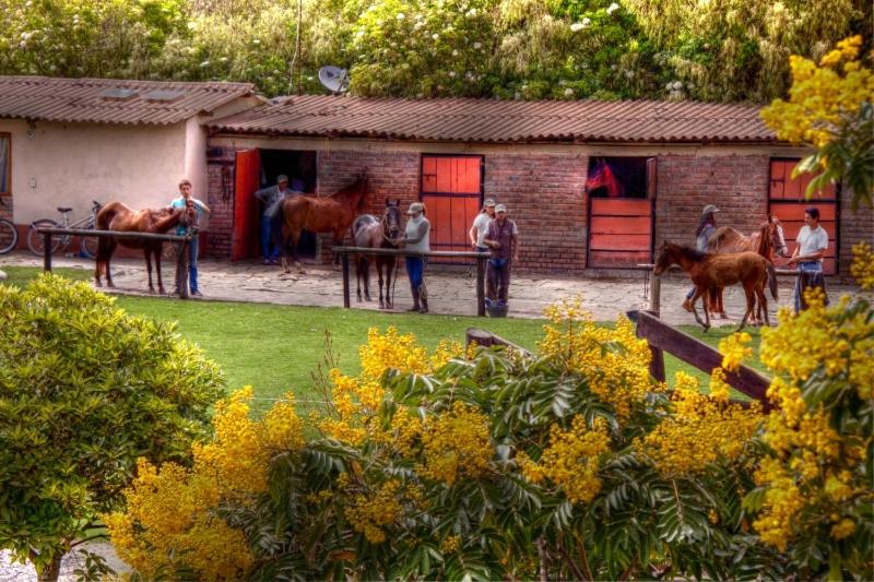 La Isabela Estancia Ecuestre