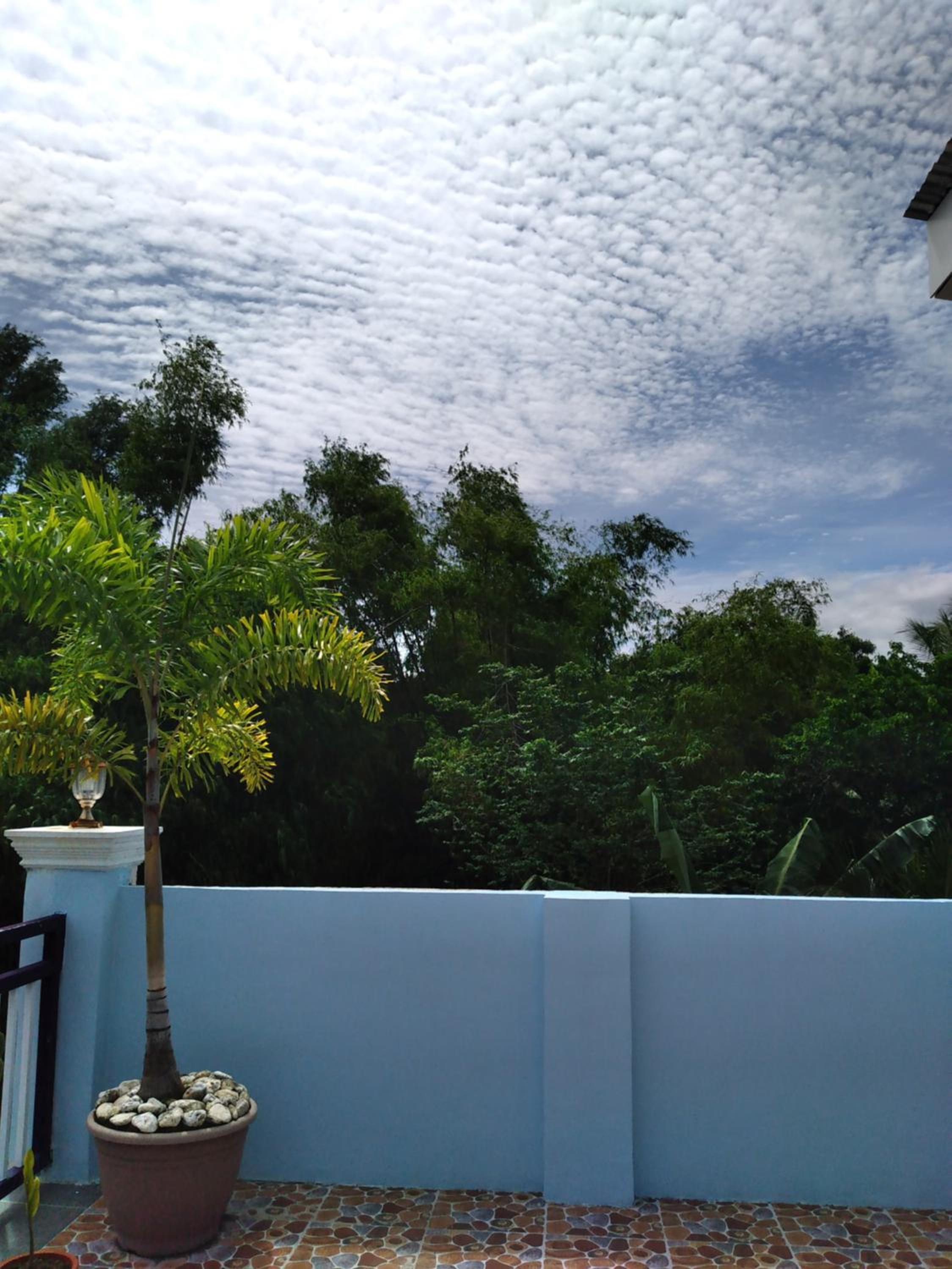 Azulea Lodging House Oslob