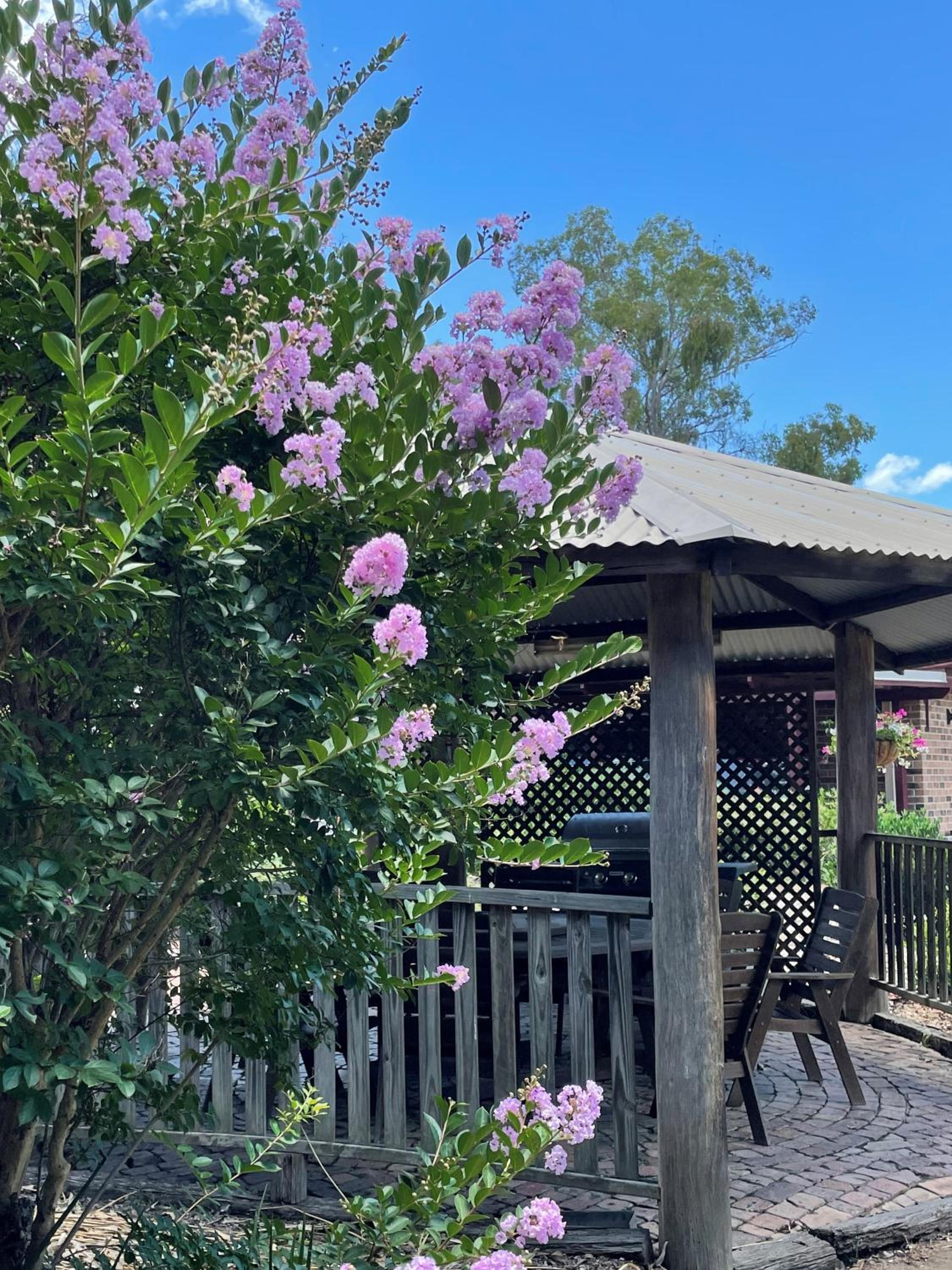 Crows Nest Motel