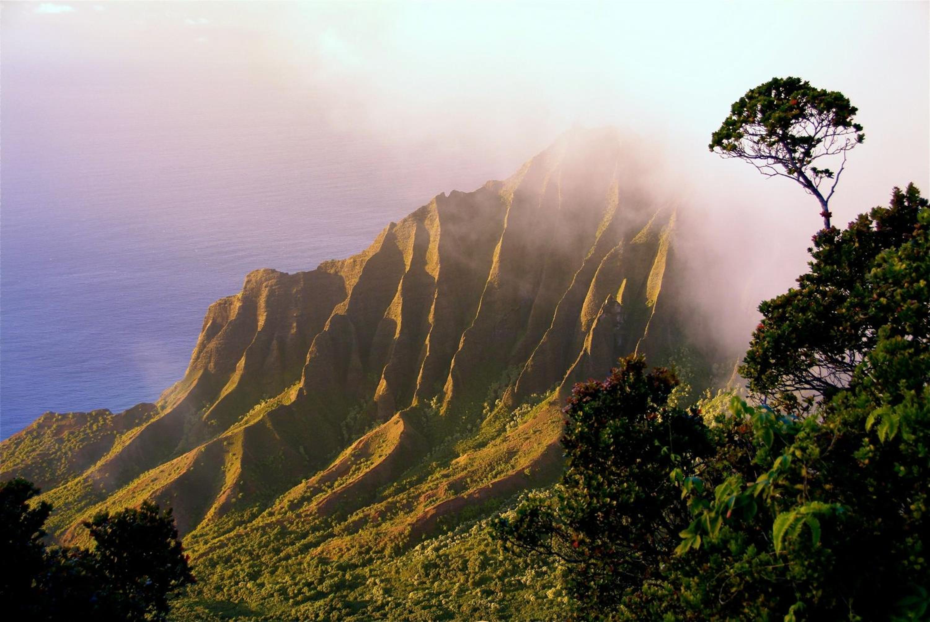 The West Inn Kauai
