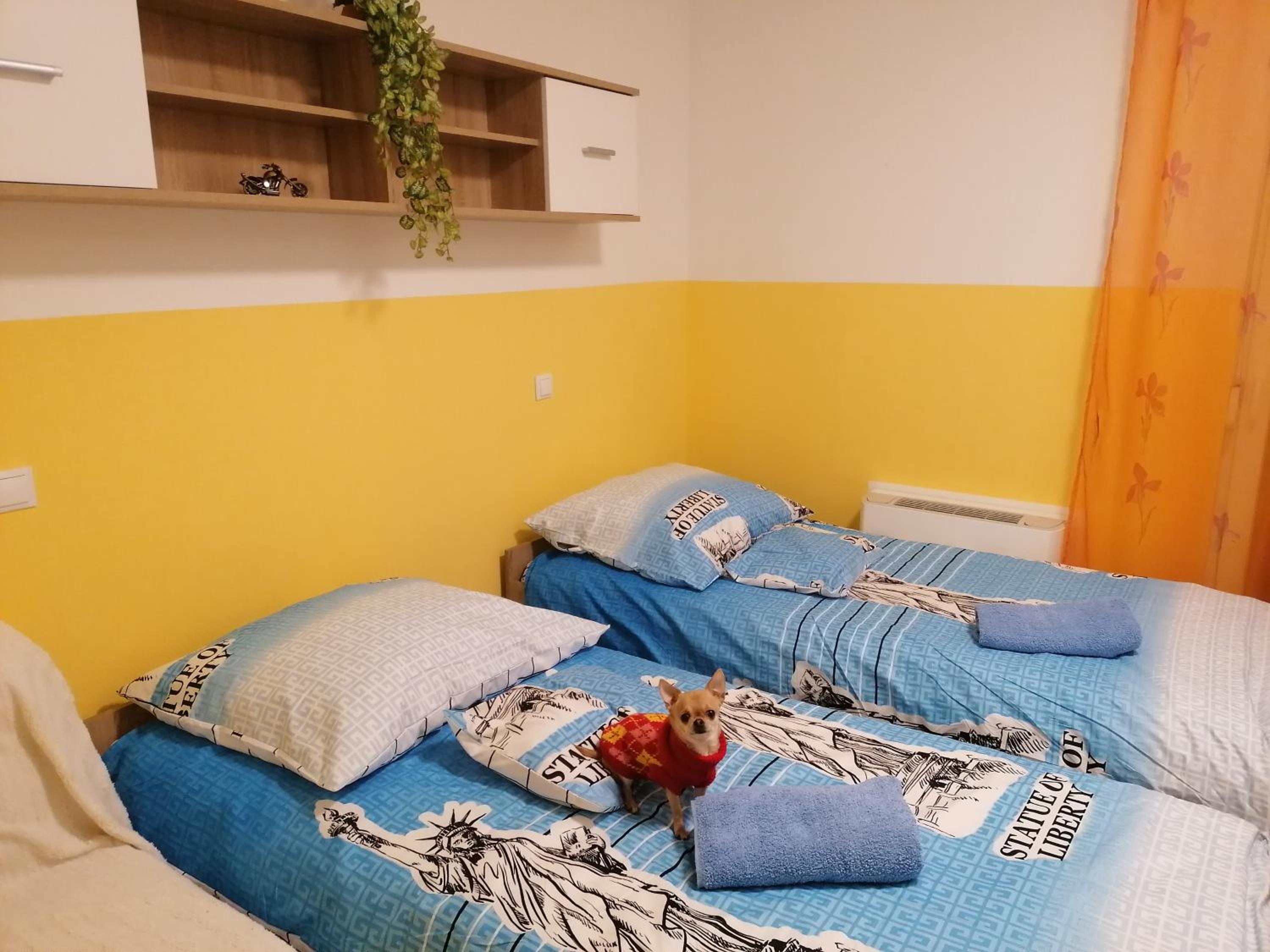 Orsi Apartman Kecskemét view 5