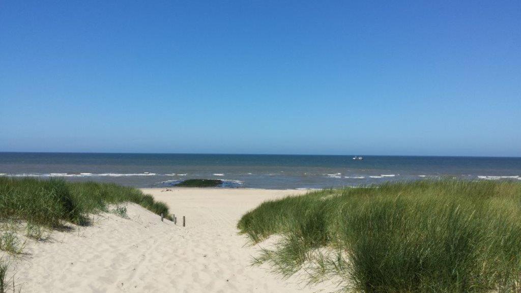 Zoute Bries, in Natuurgebied en vlakbij het Strand
