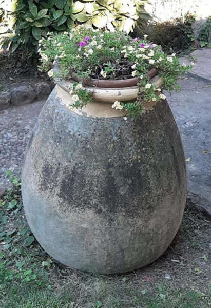 Photo 44