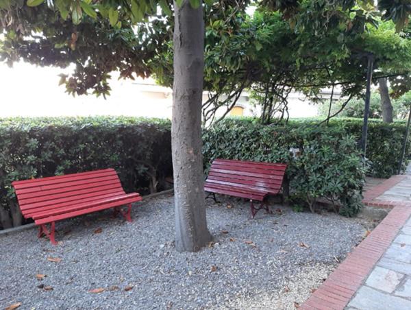 Photo 45
