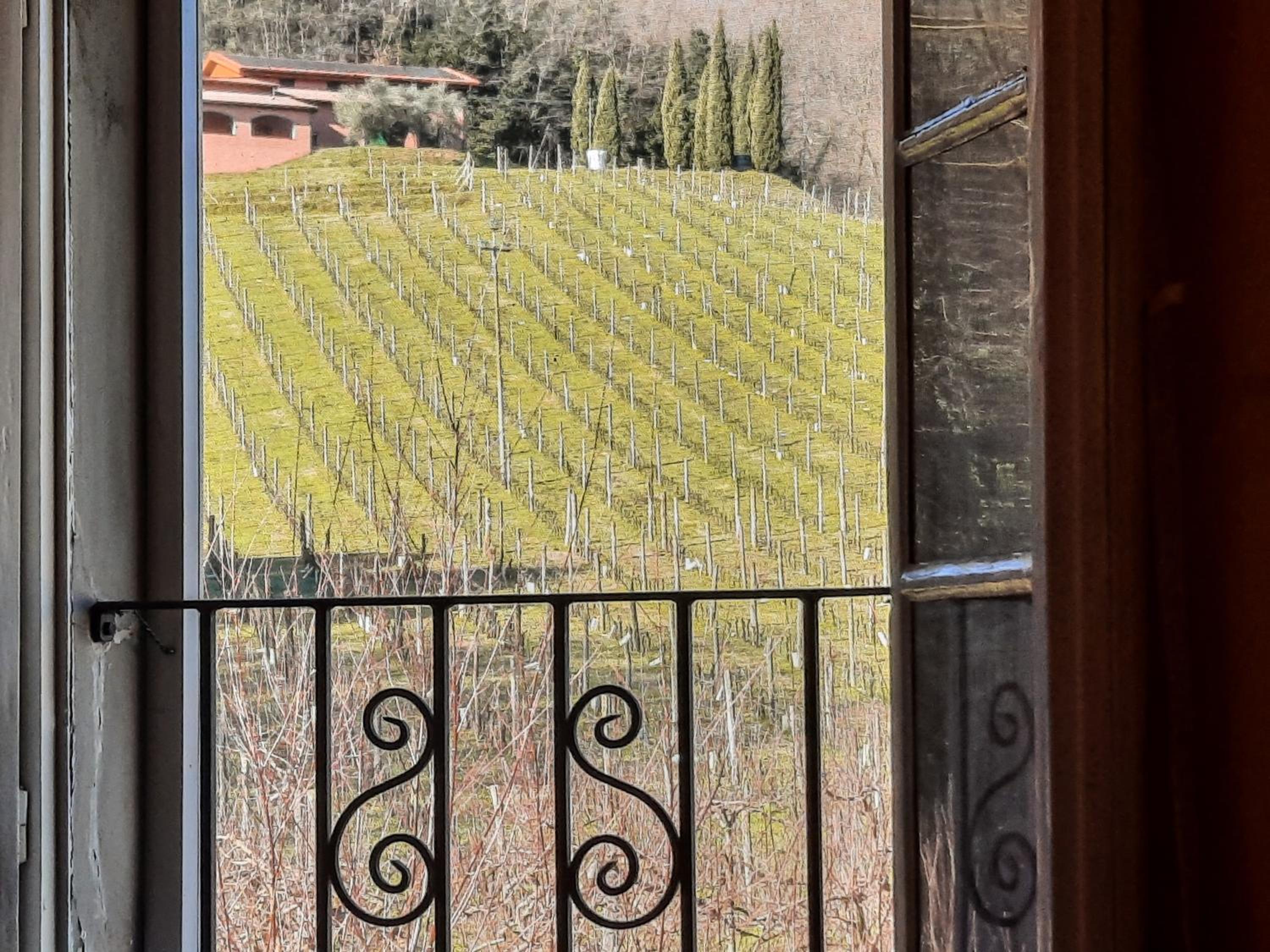 Agriturismo Tenuta Adamo view 2