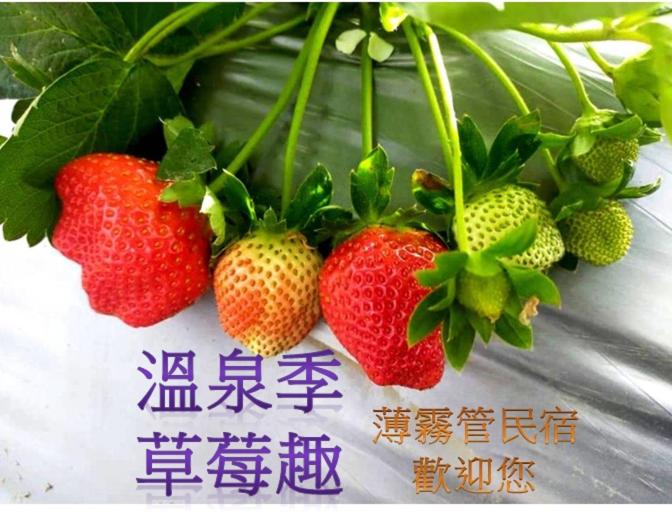 Miaoli Sanyi Bo Wu Guan Homestay