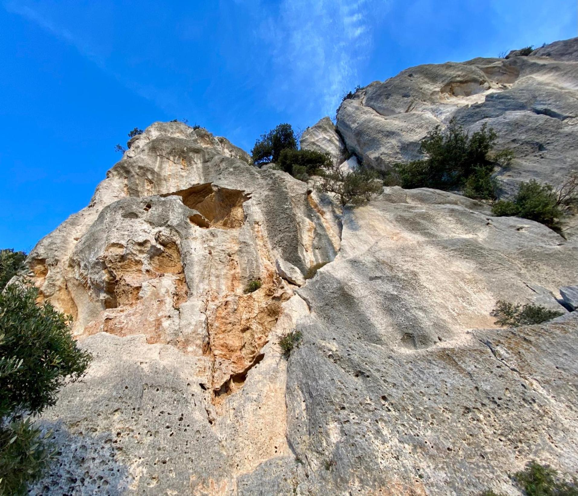 Photo 20