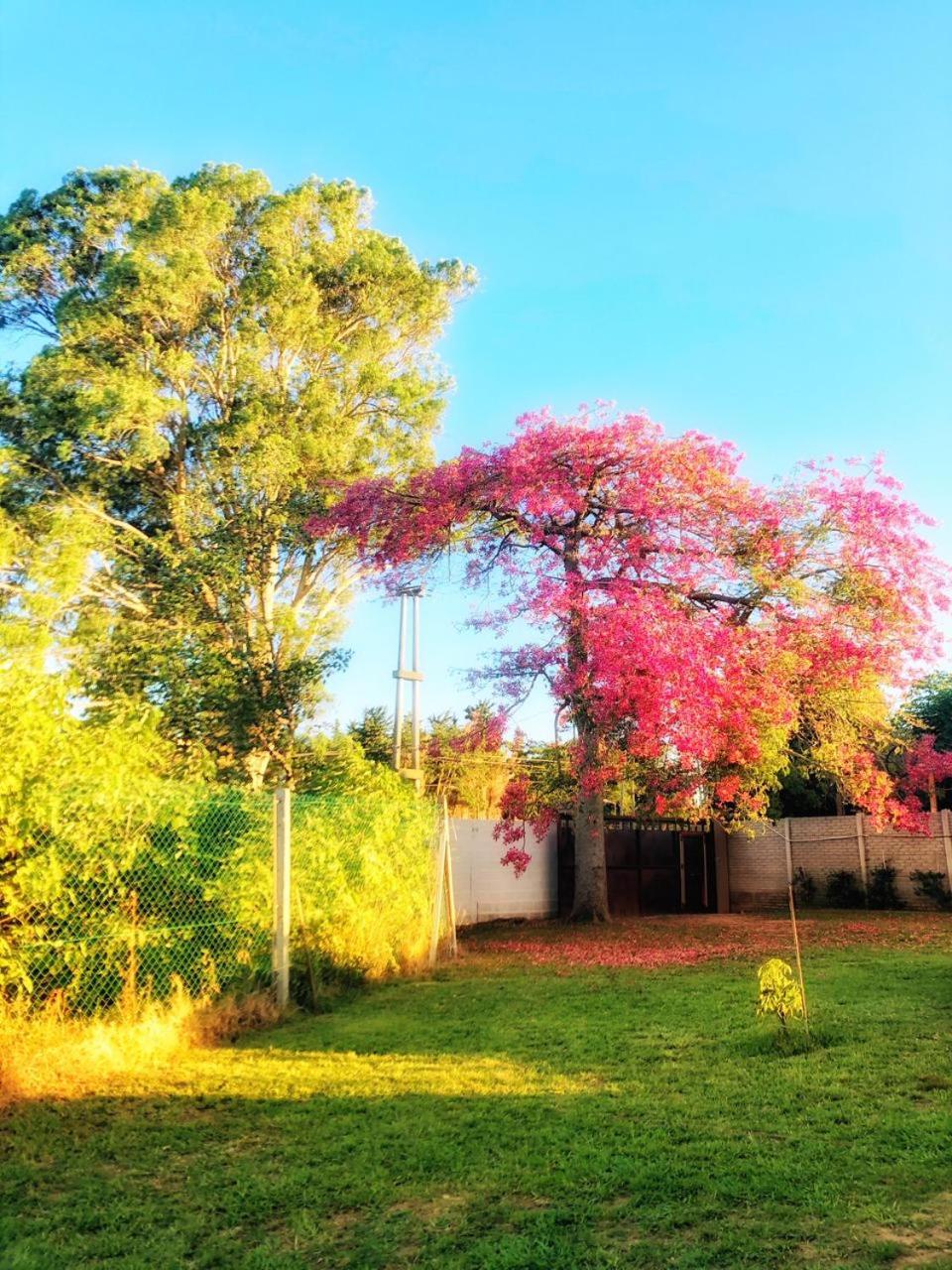 Rinconada, casa de huéspedes