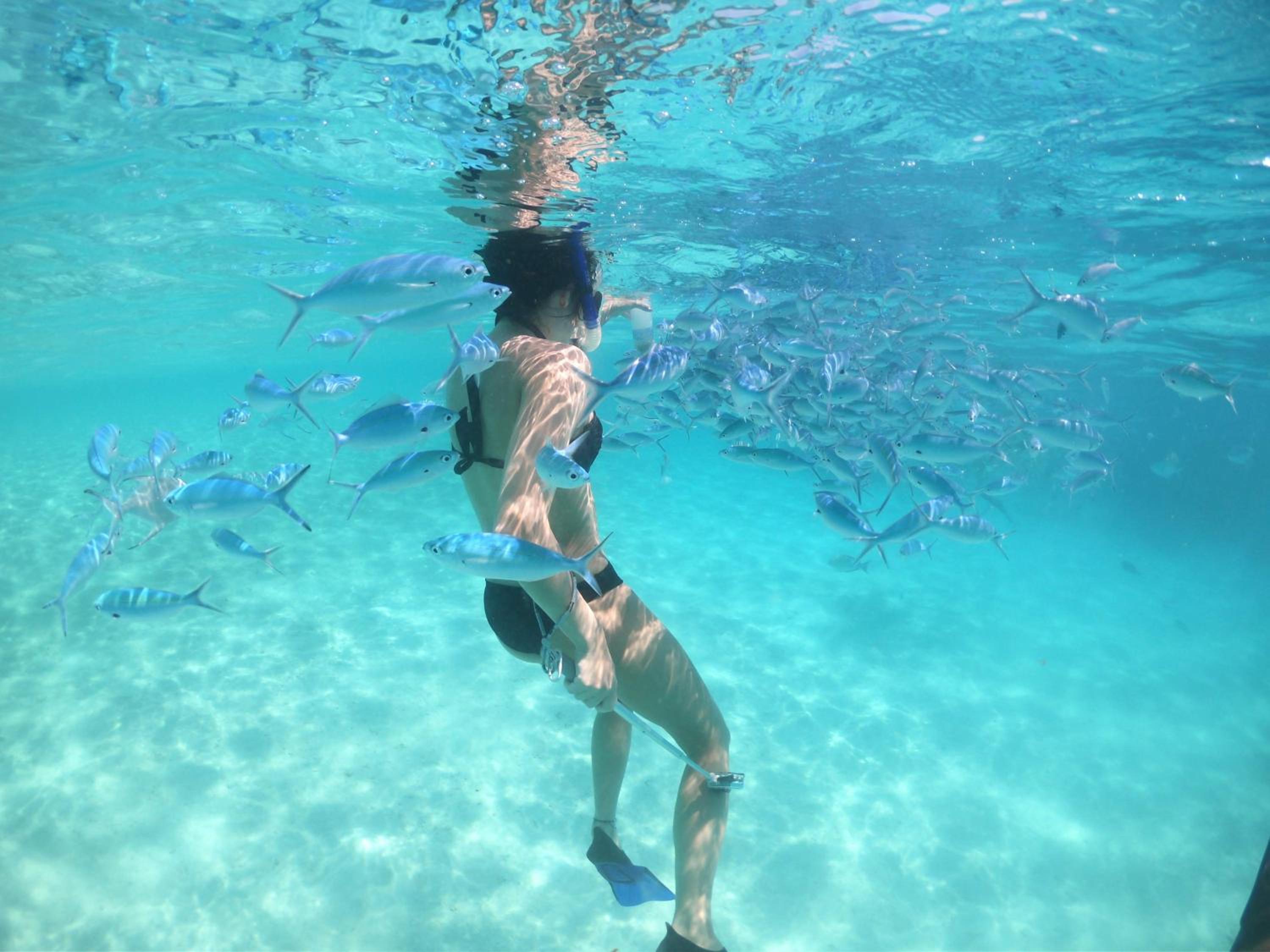 White Coral Rasdhoo