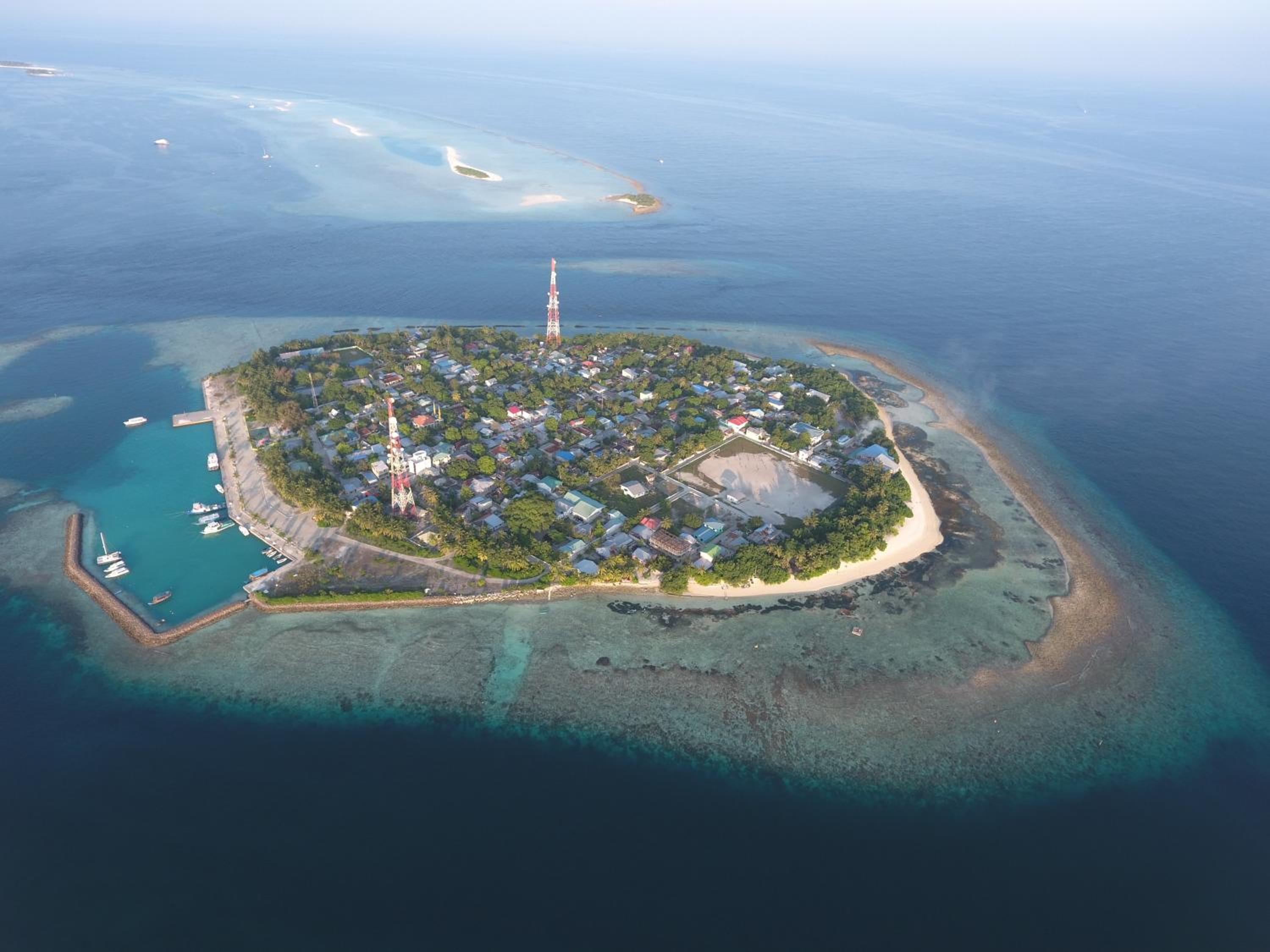 White Coral Rasdhoo