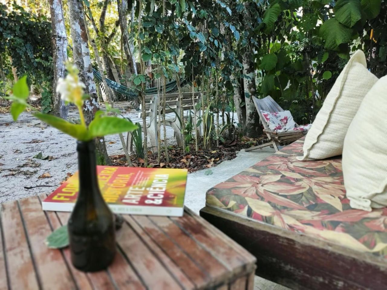 Espaço Pé de Mangaba - Natureza e Simplicidade