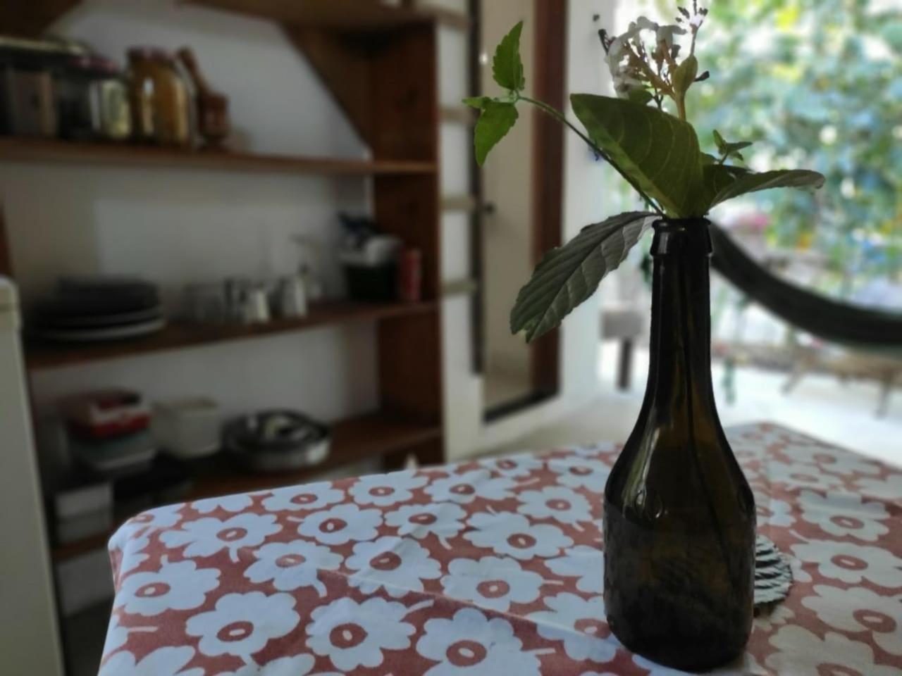 Espaço Pé de Mangaba - Natureza e Simplicidade