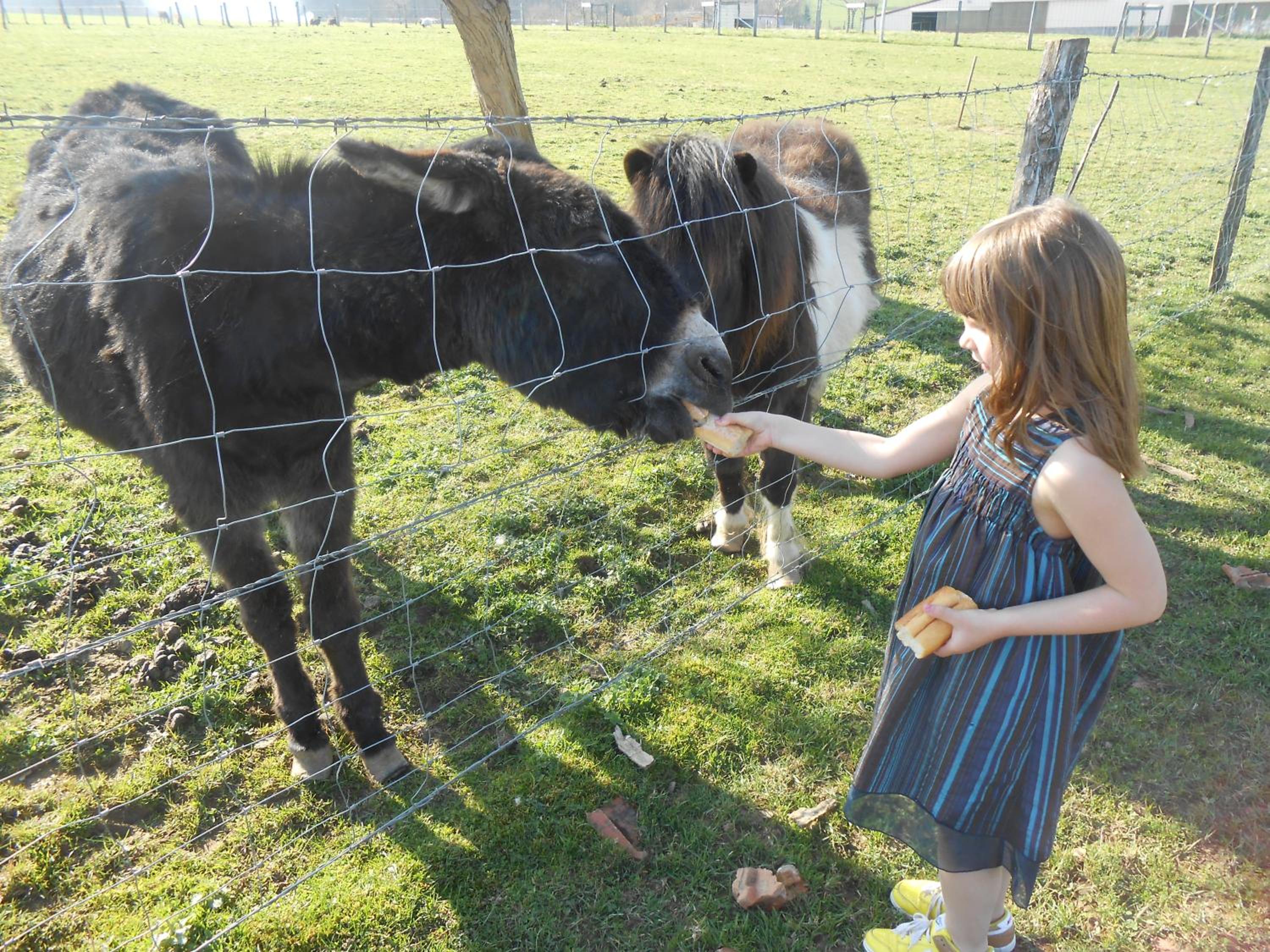 La Ferme des 3 Suissesses