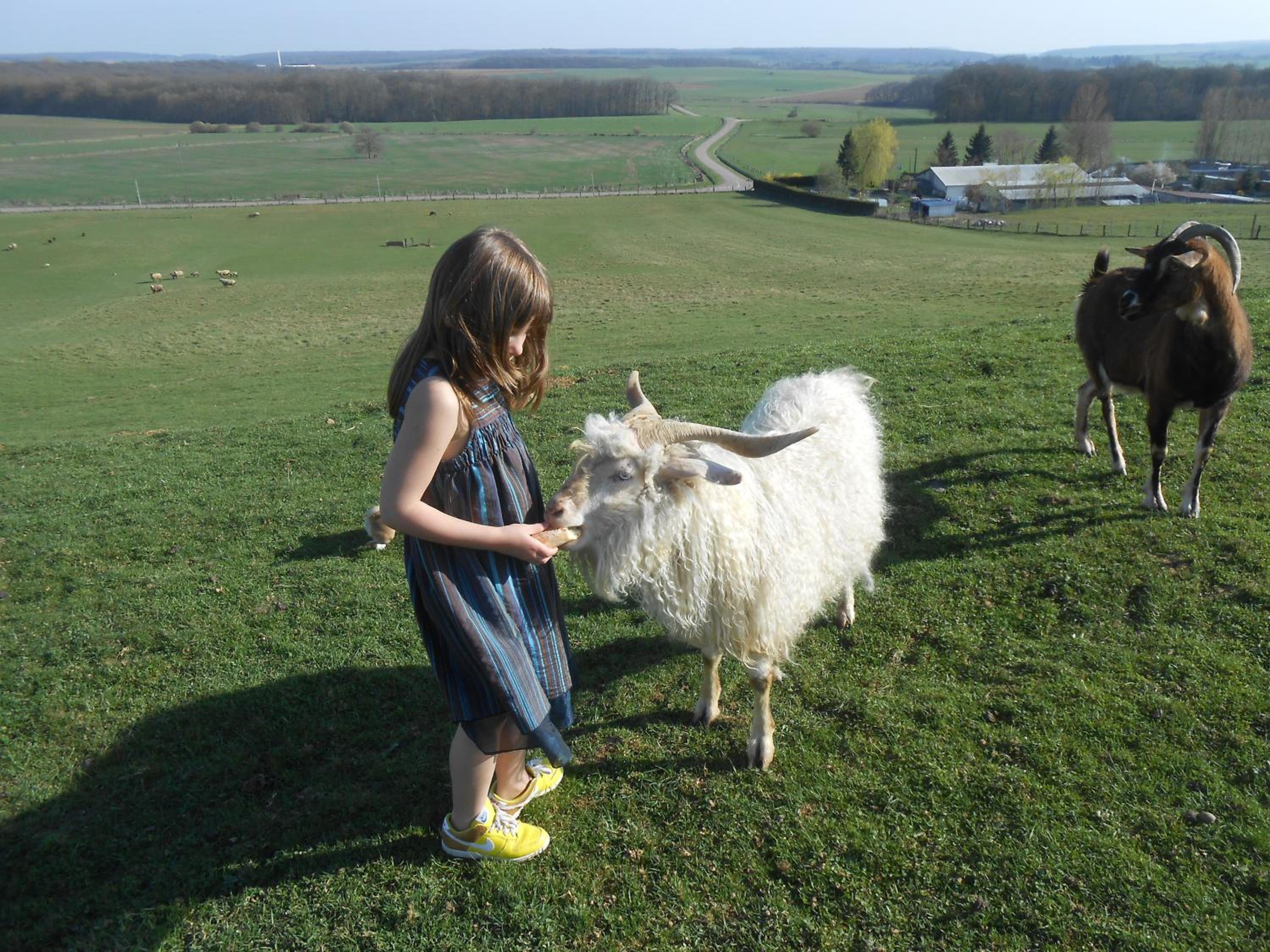 La Ferme des 3 Suissesses