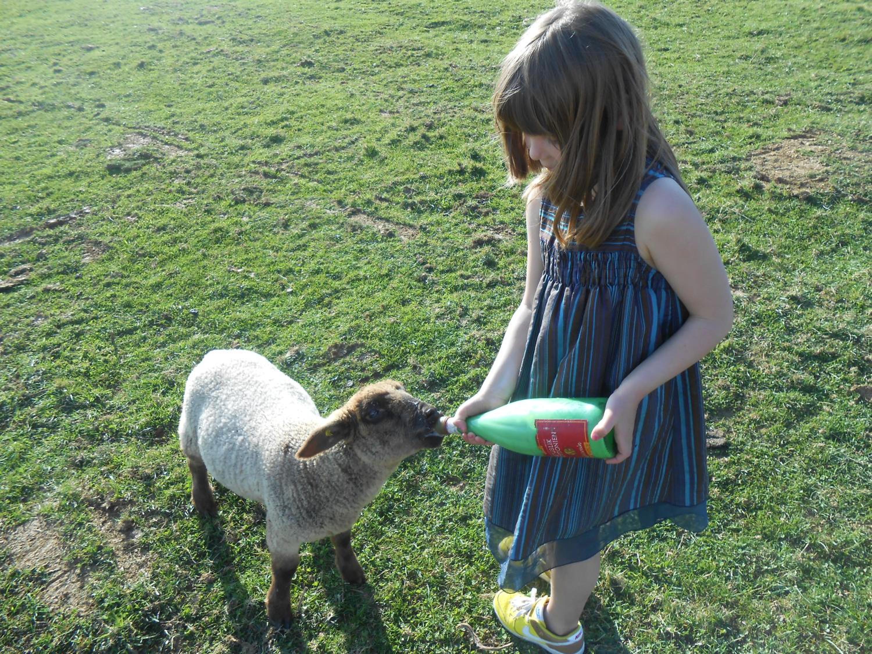 La Ferme des 3 Suissesses