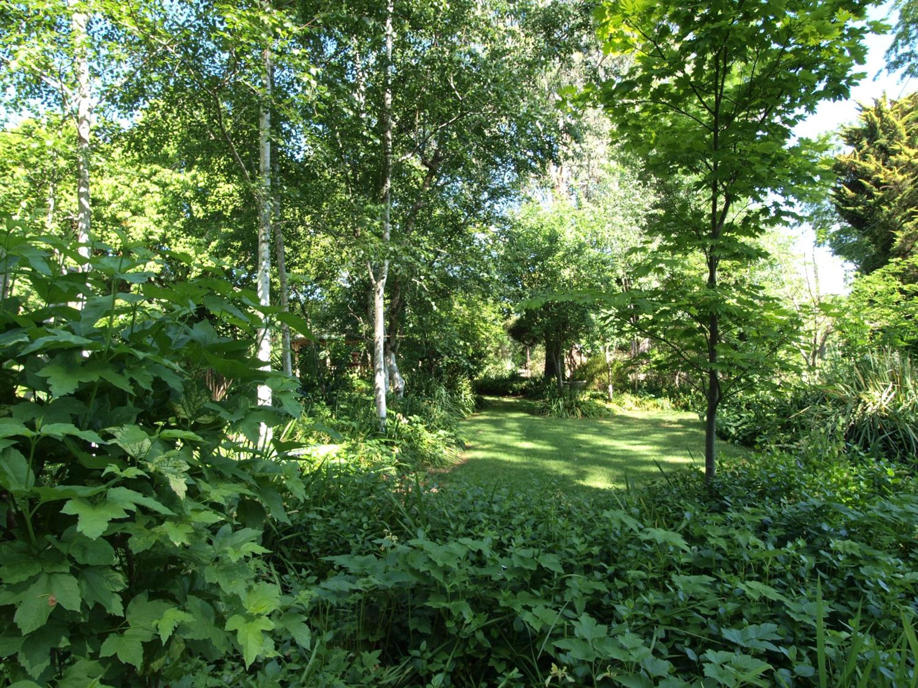 Photo 22