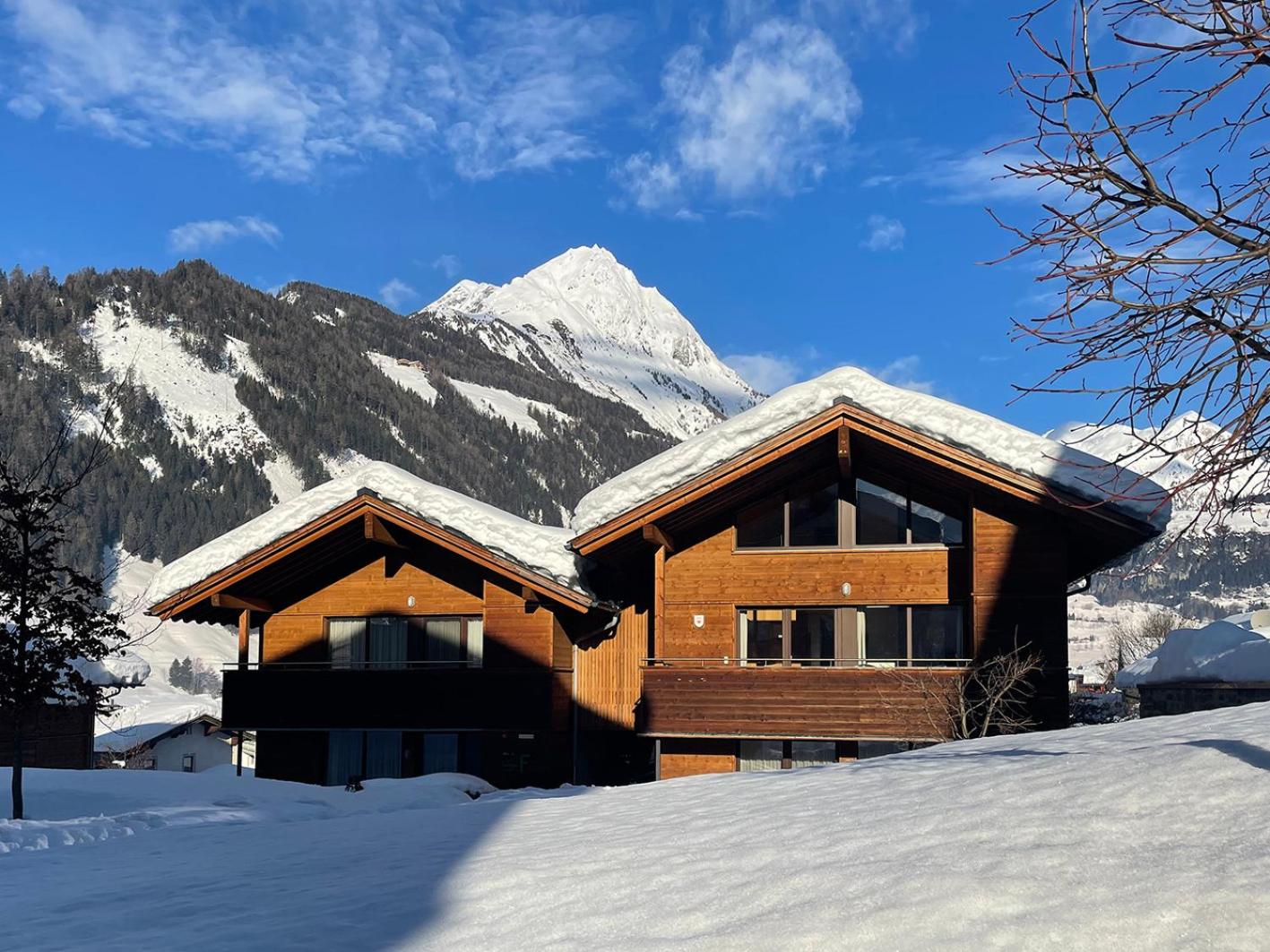 EdelWeiss AlpinLodge view 3