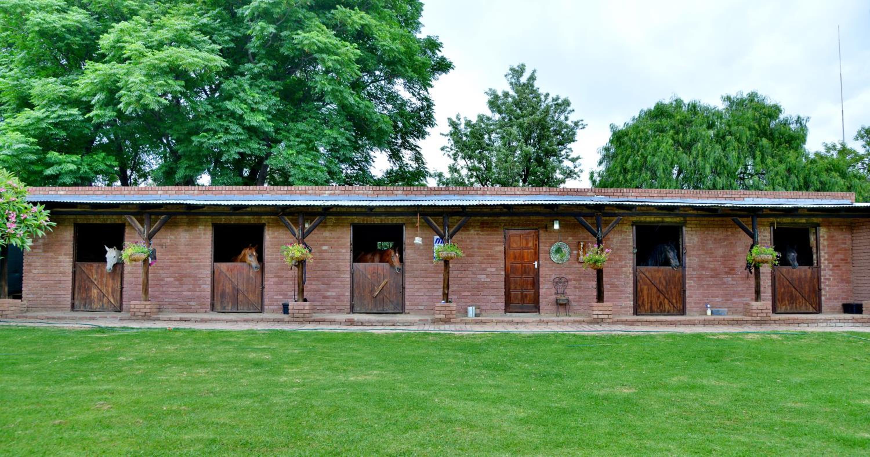 Owls Loft Guest House