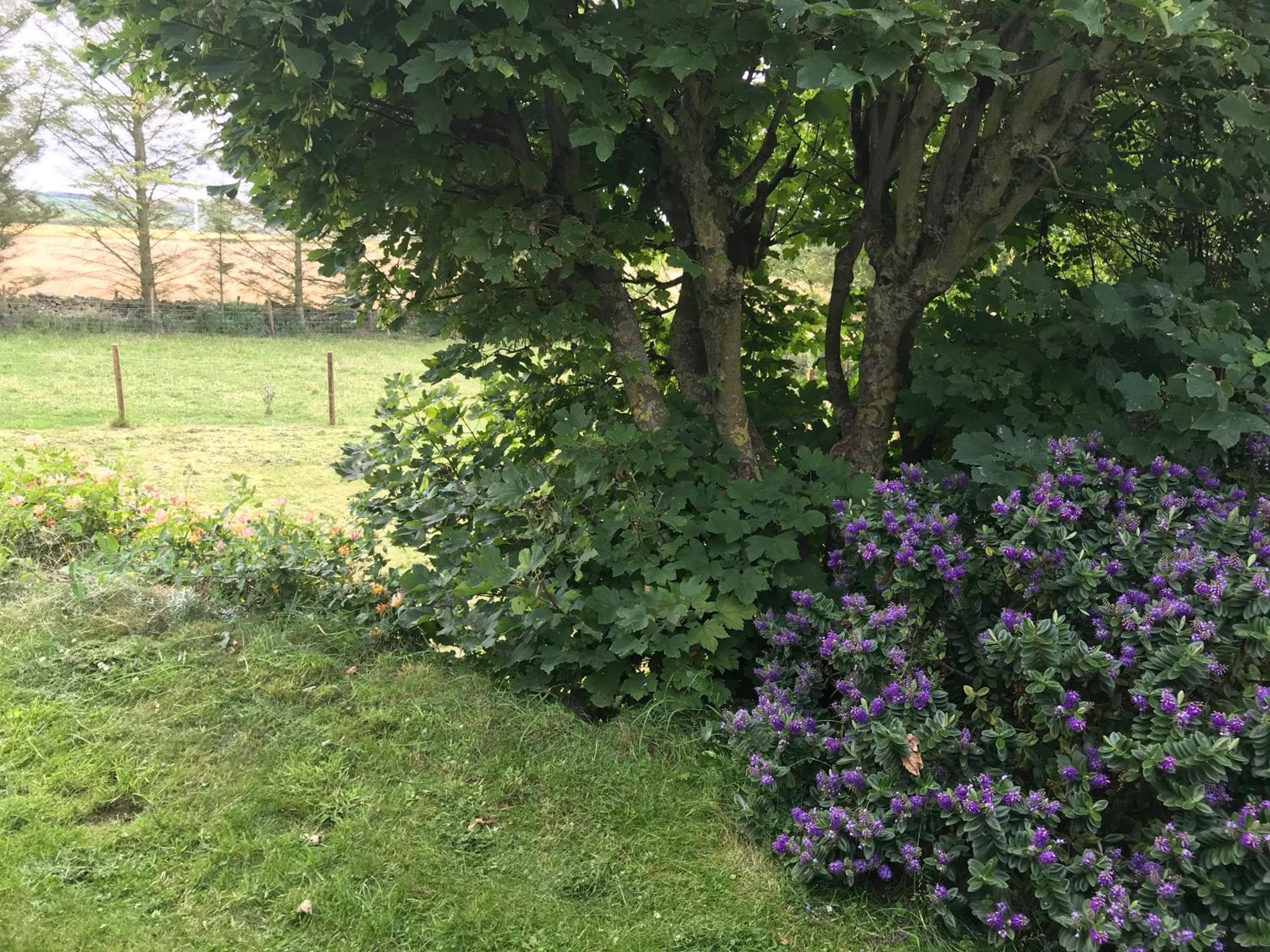 Crossgates, Rosehearty view 3