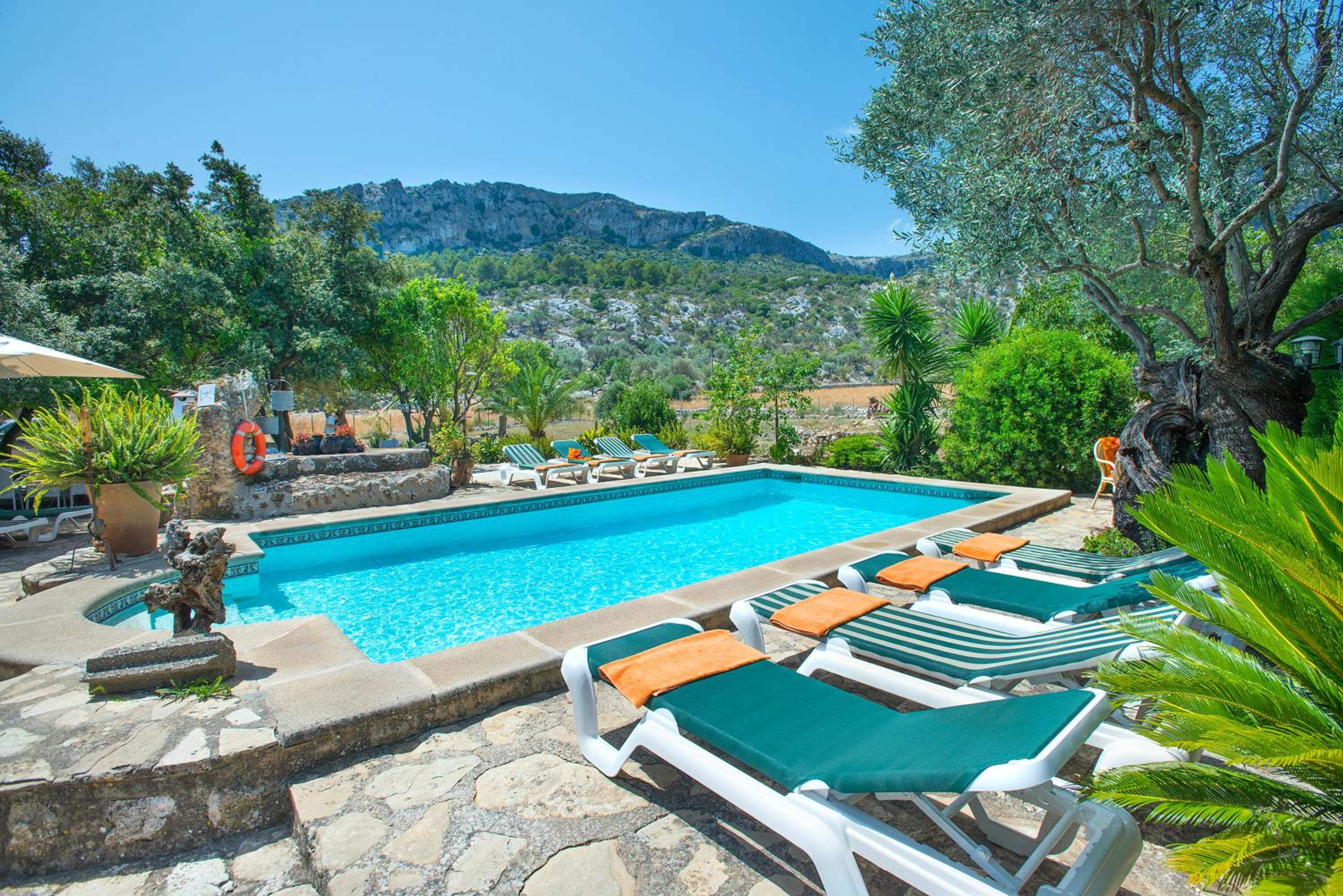 Owl Booking Villa Rafals - Wonder in the Midst of Nature view 4