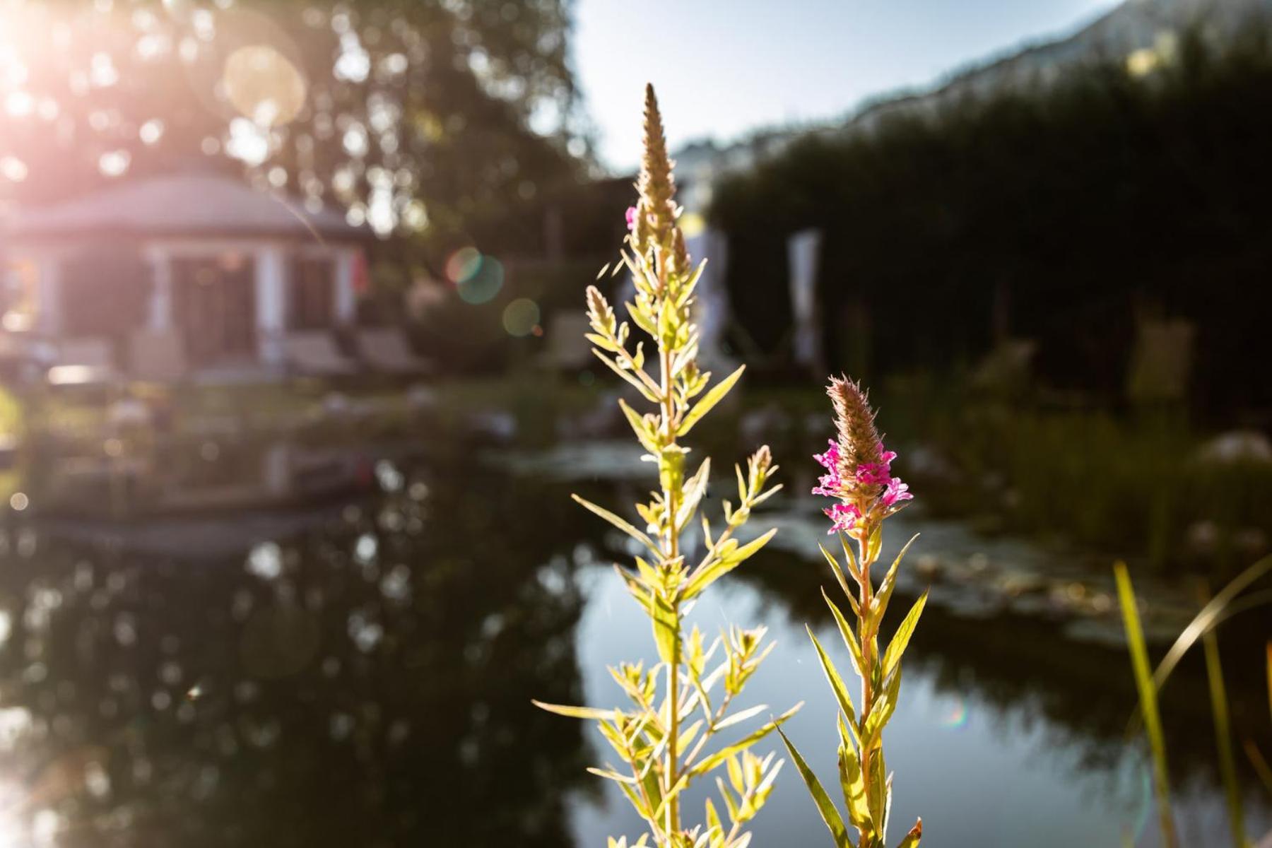 Flora - Das kleine Gartenhotel