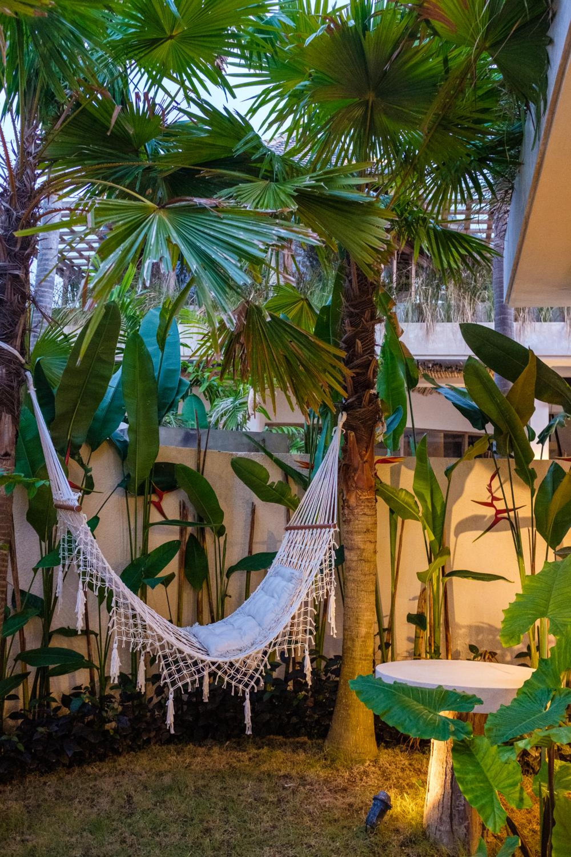 AMMA Oasis