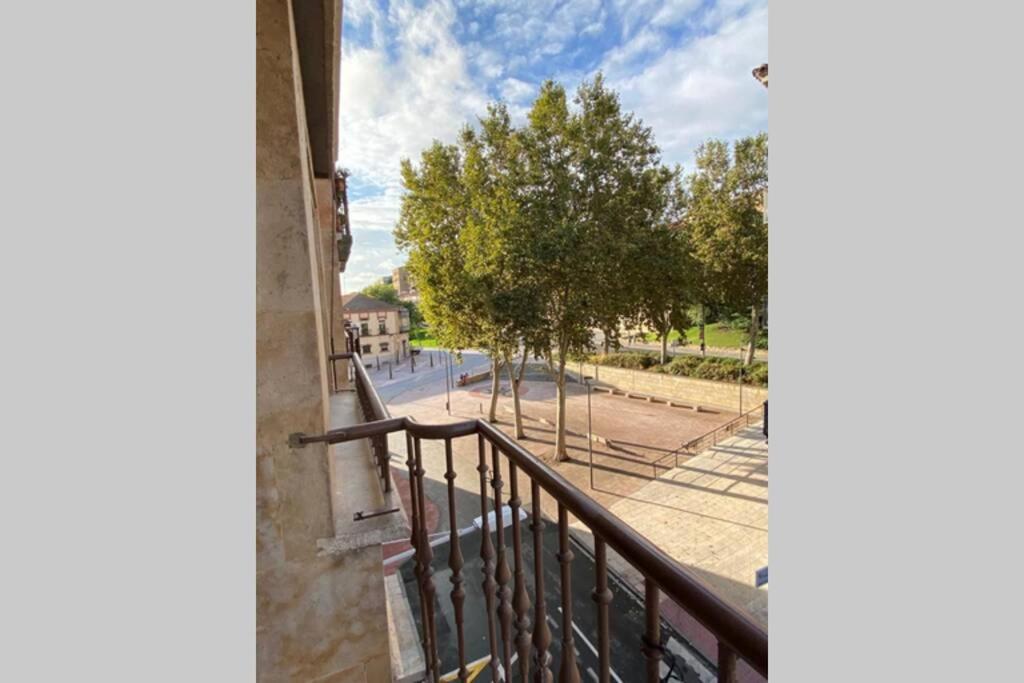 Espléndido Apto Junto a Puente Romano - Salamanca