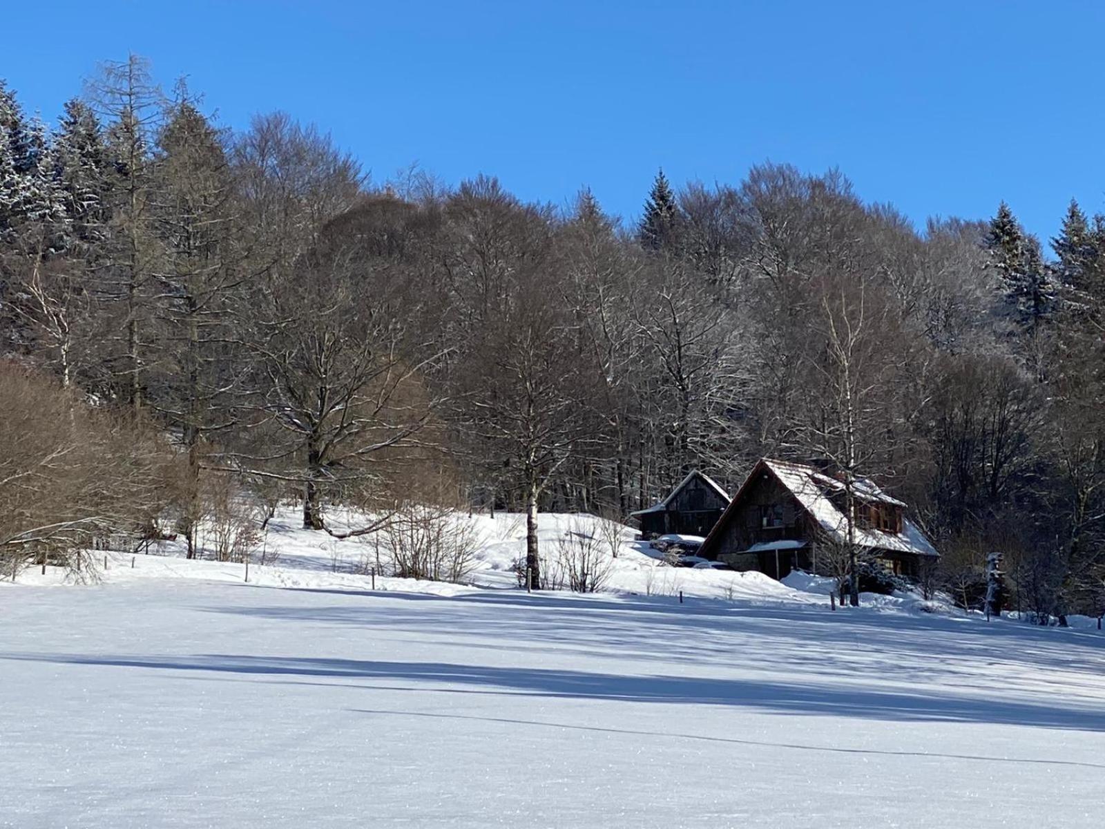 Jagdhaus in der Rhön in völliger Alleinlage