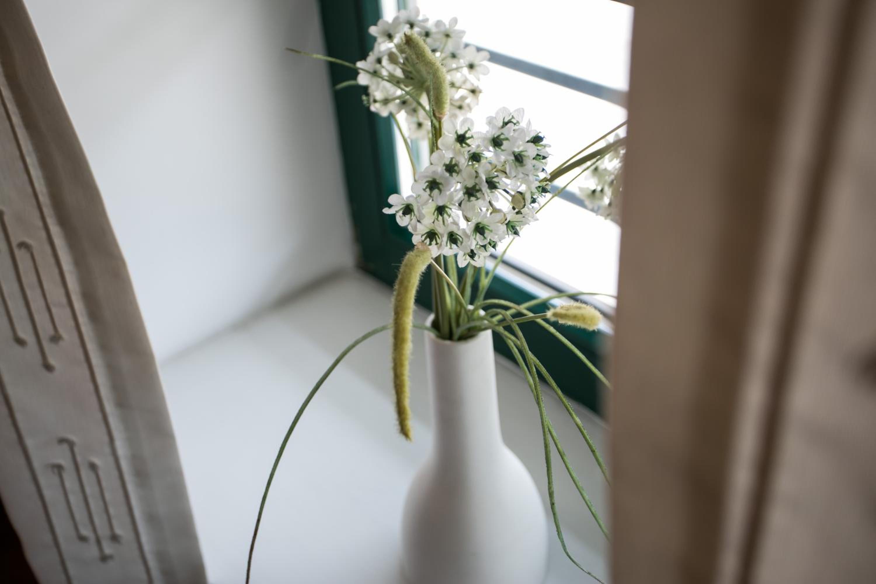 Pri Žabarju Bed & Breakfast Ljubljana