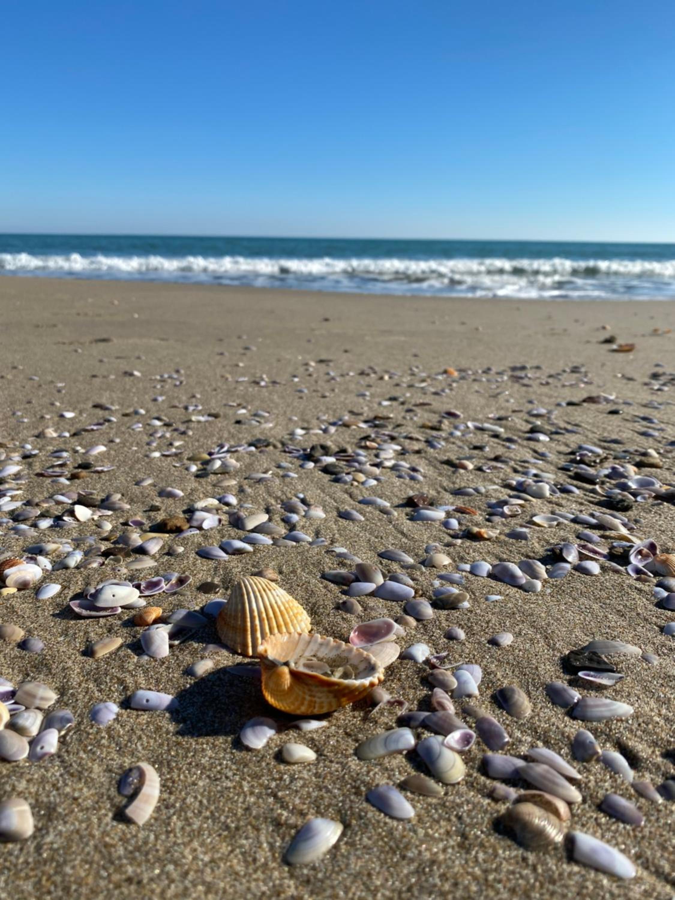 Villa Biancospini - guesthouse Le Case di Aurelia photo 4