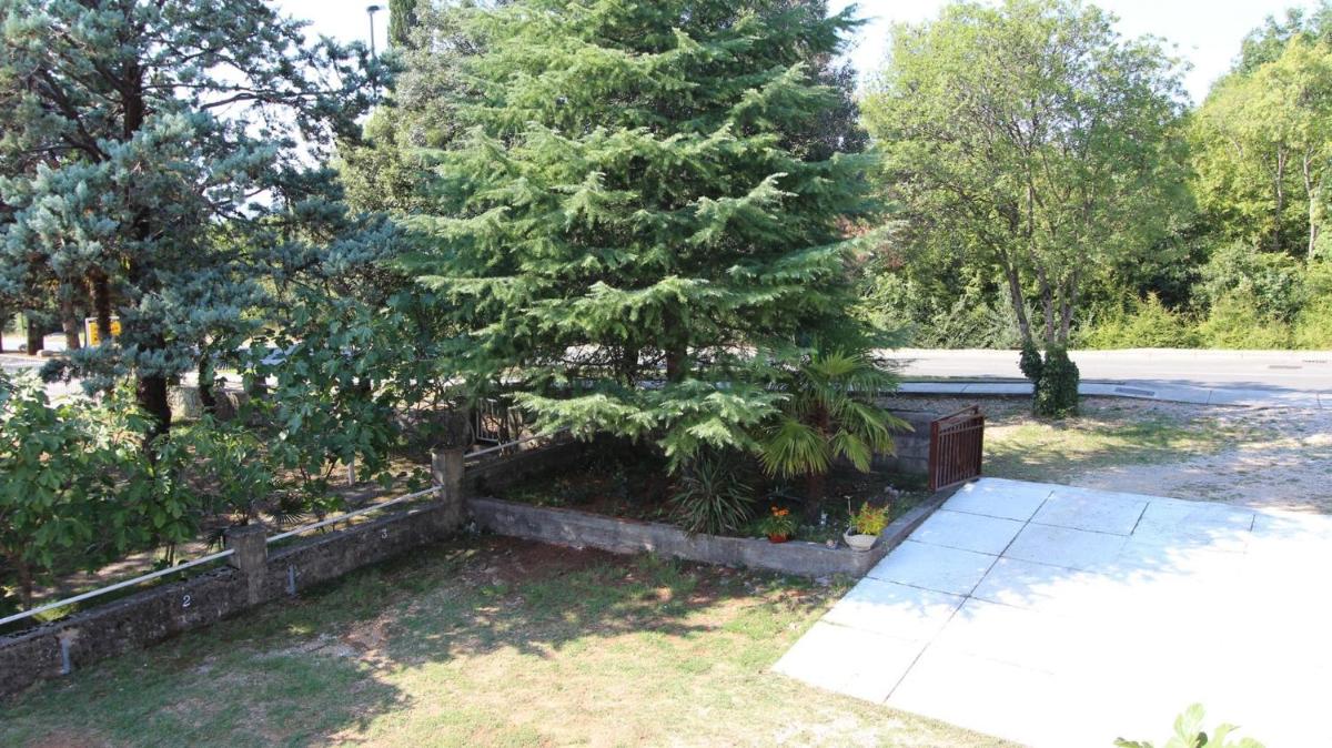 Photo 33