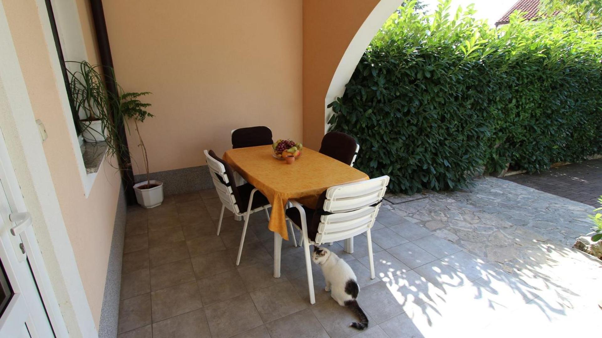 Photo 38