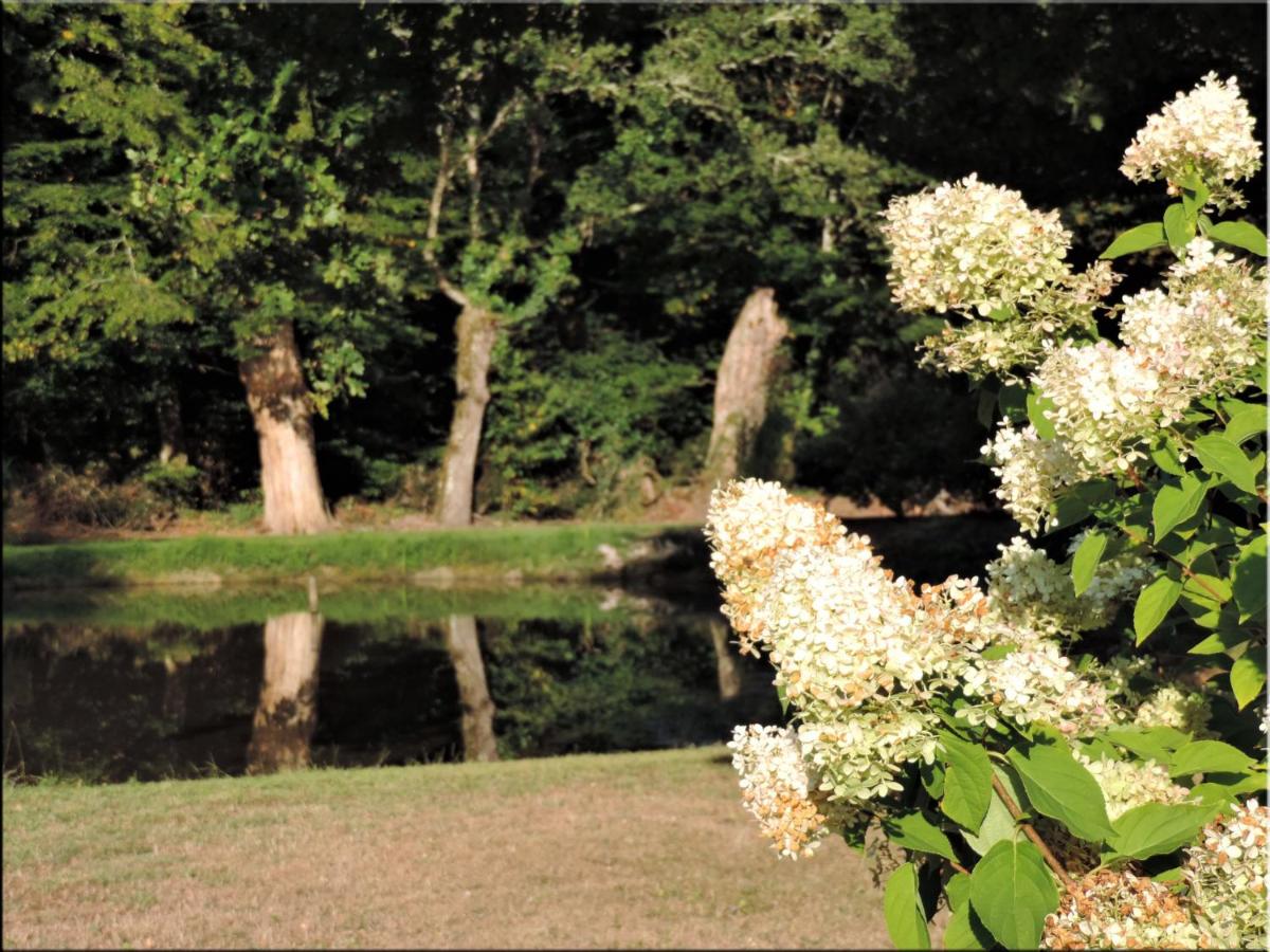 Chambres entre Romorantin-Chambord-Zoo de Beauval