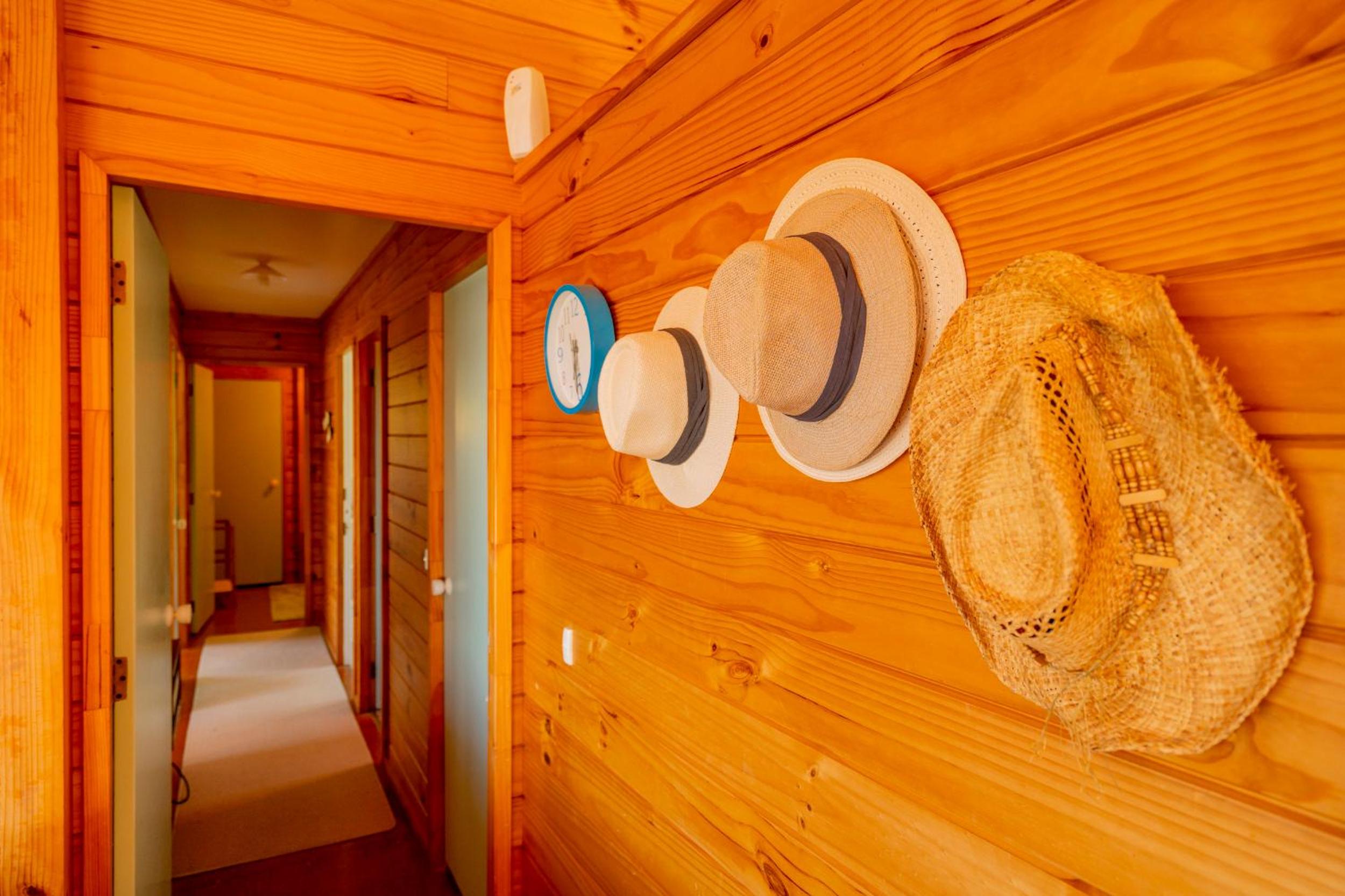 The Captain's Lookout - Onemana Holiday Home view 3
